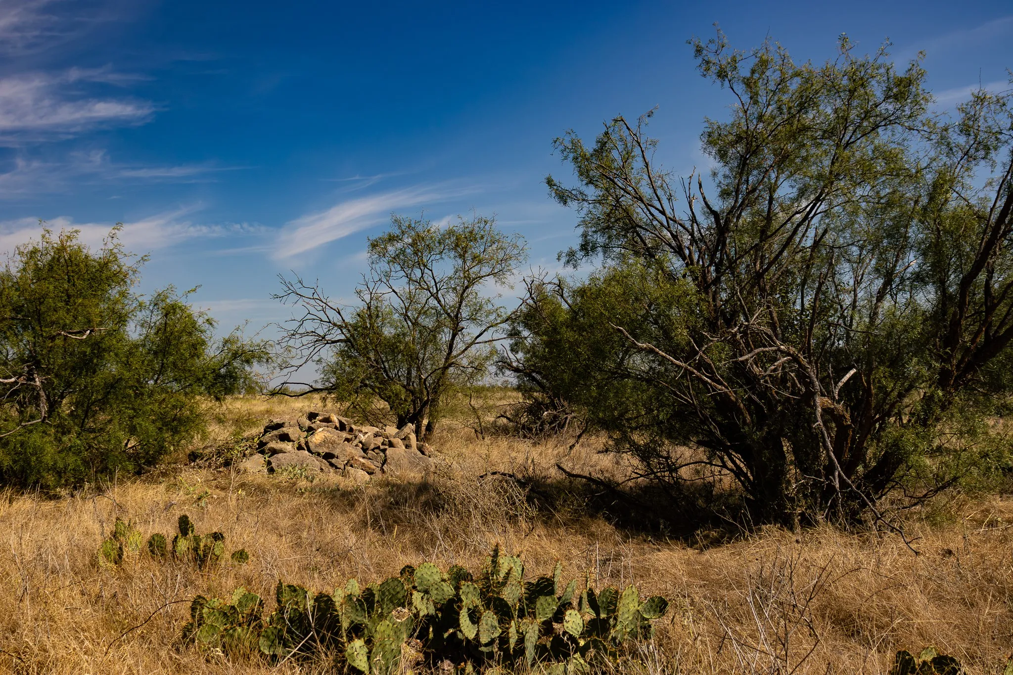 View of undeveloped land