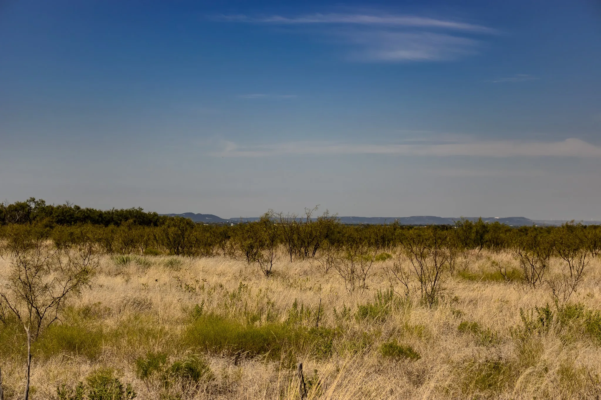 View of local wilderness featuring rural landscape