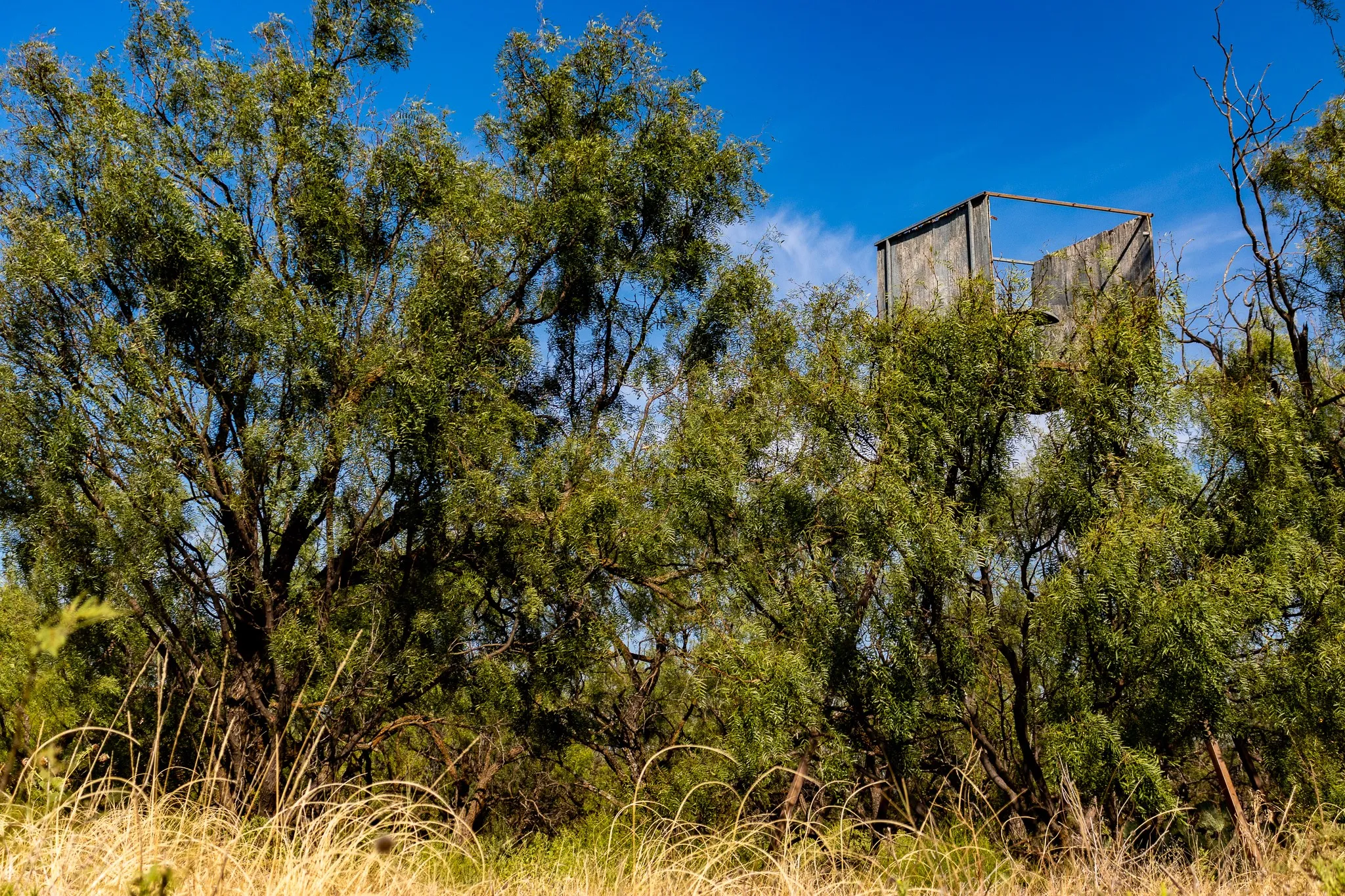 View of undeveloped land