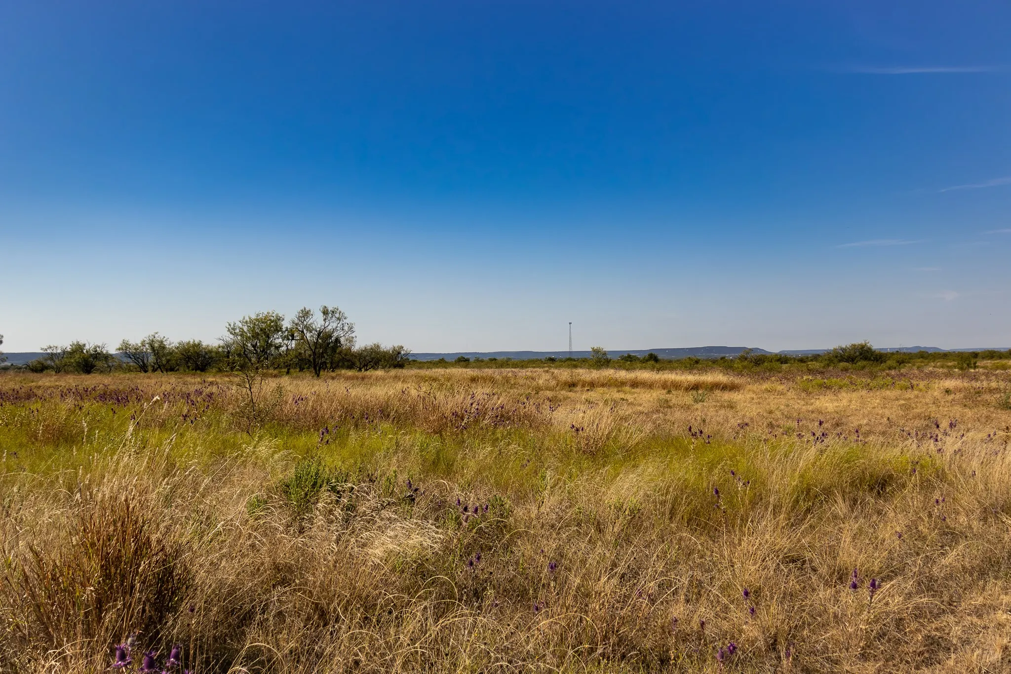 View of nature with rural landscape