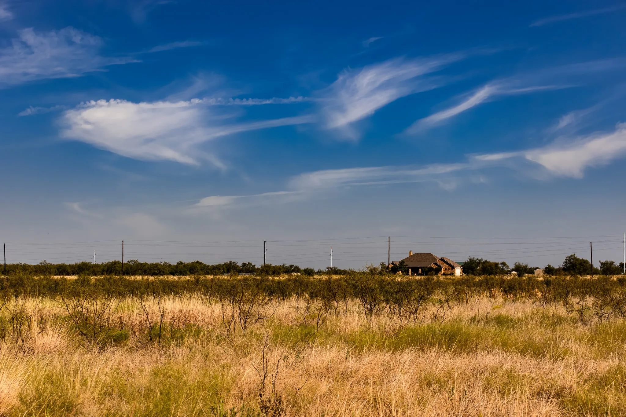 View of local wilderness with rural landscape