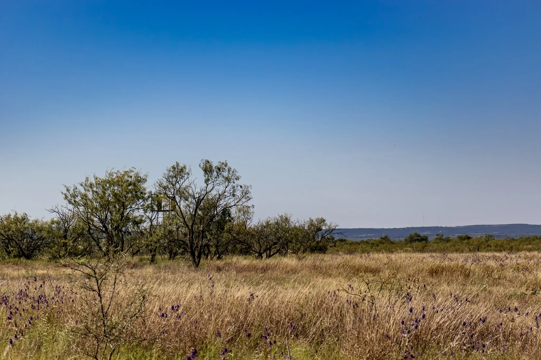 View of undeveloped land featuring rural landscape