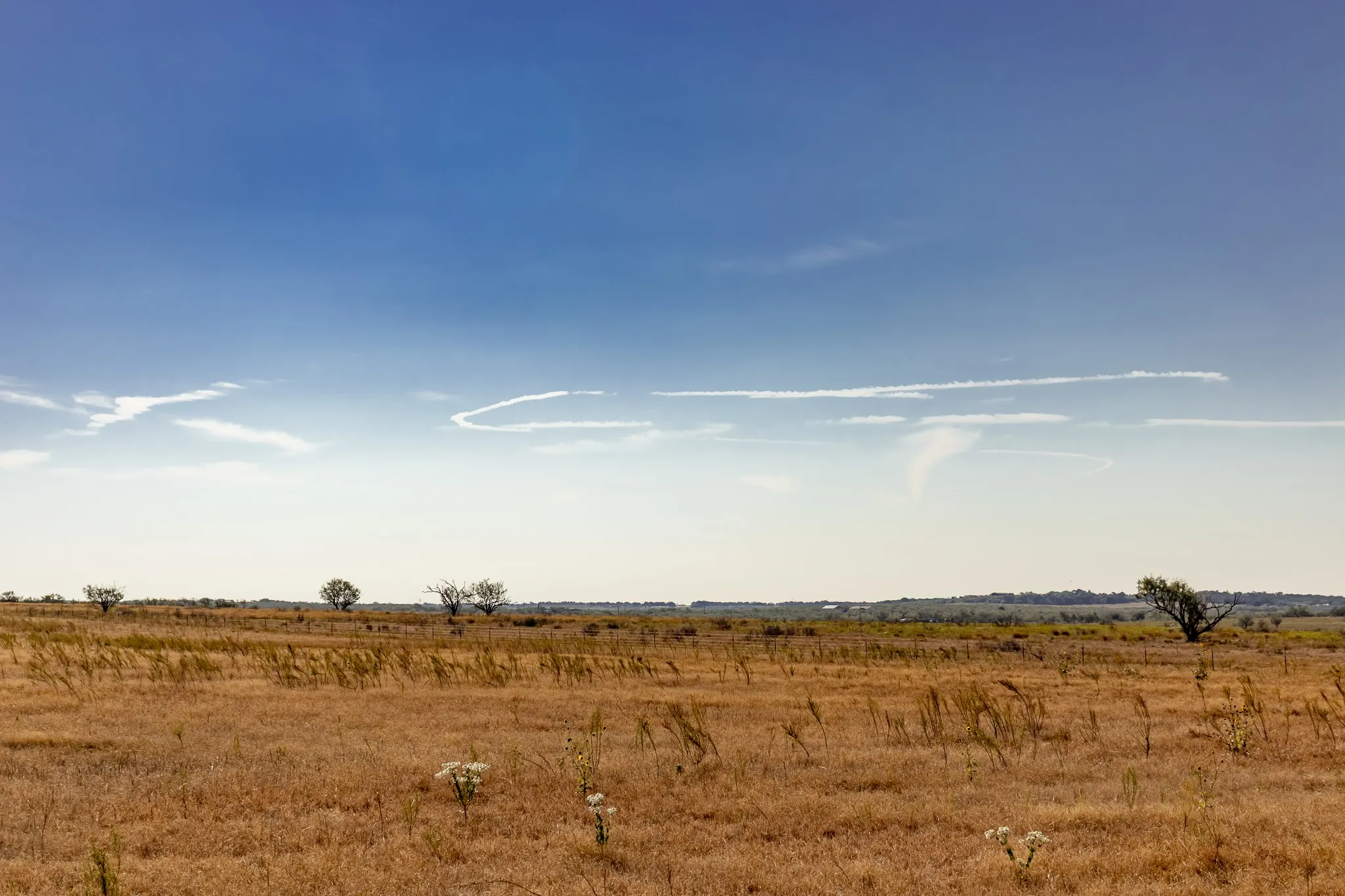 View of local wilderness featuring rural landscape