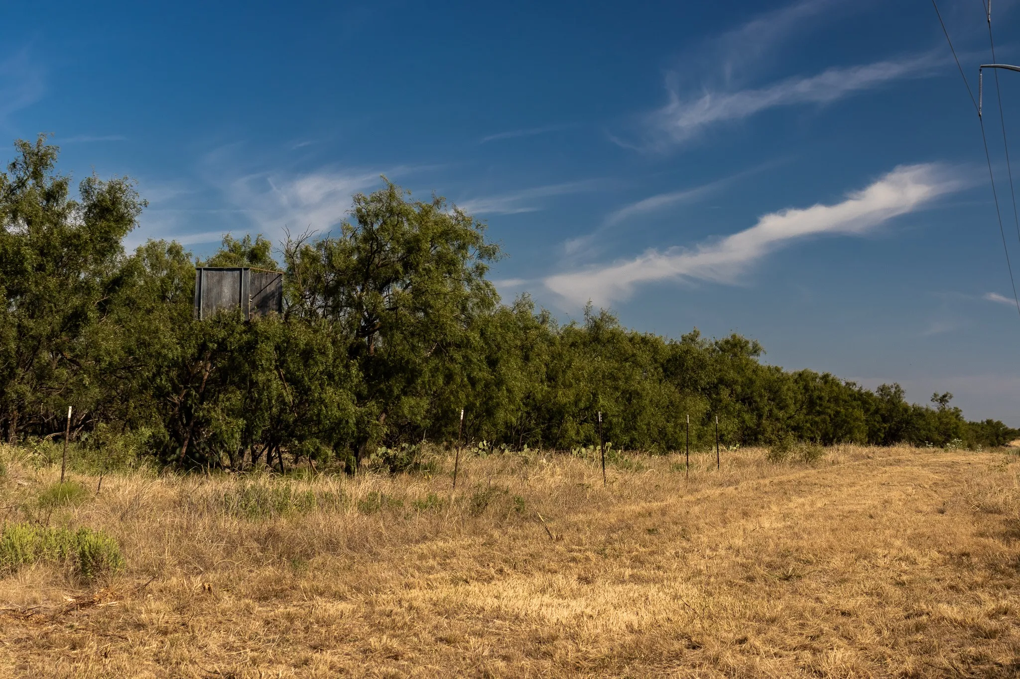 View of undeveloped land