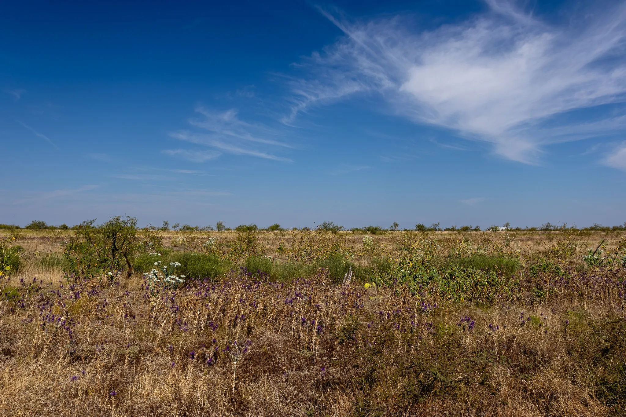 View of nature with rural landscape