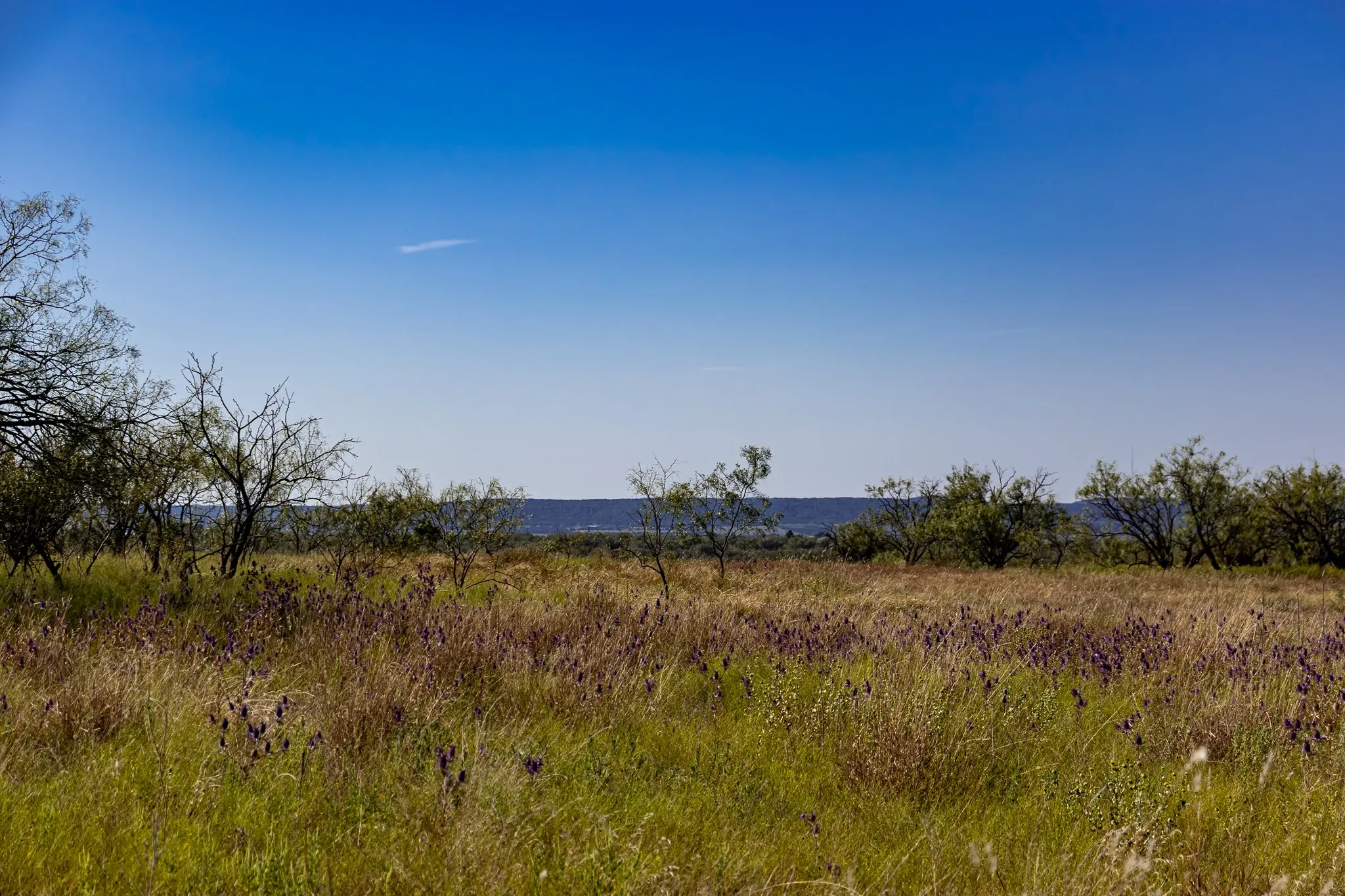 View of nature with a large body of water