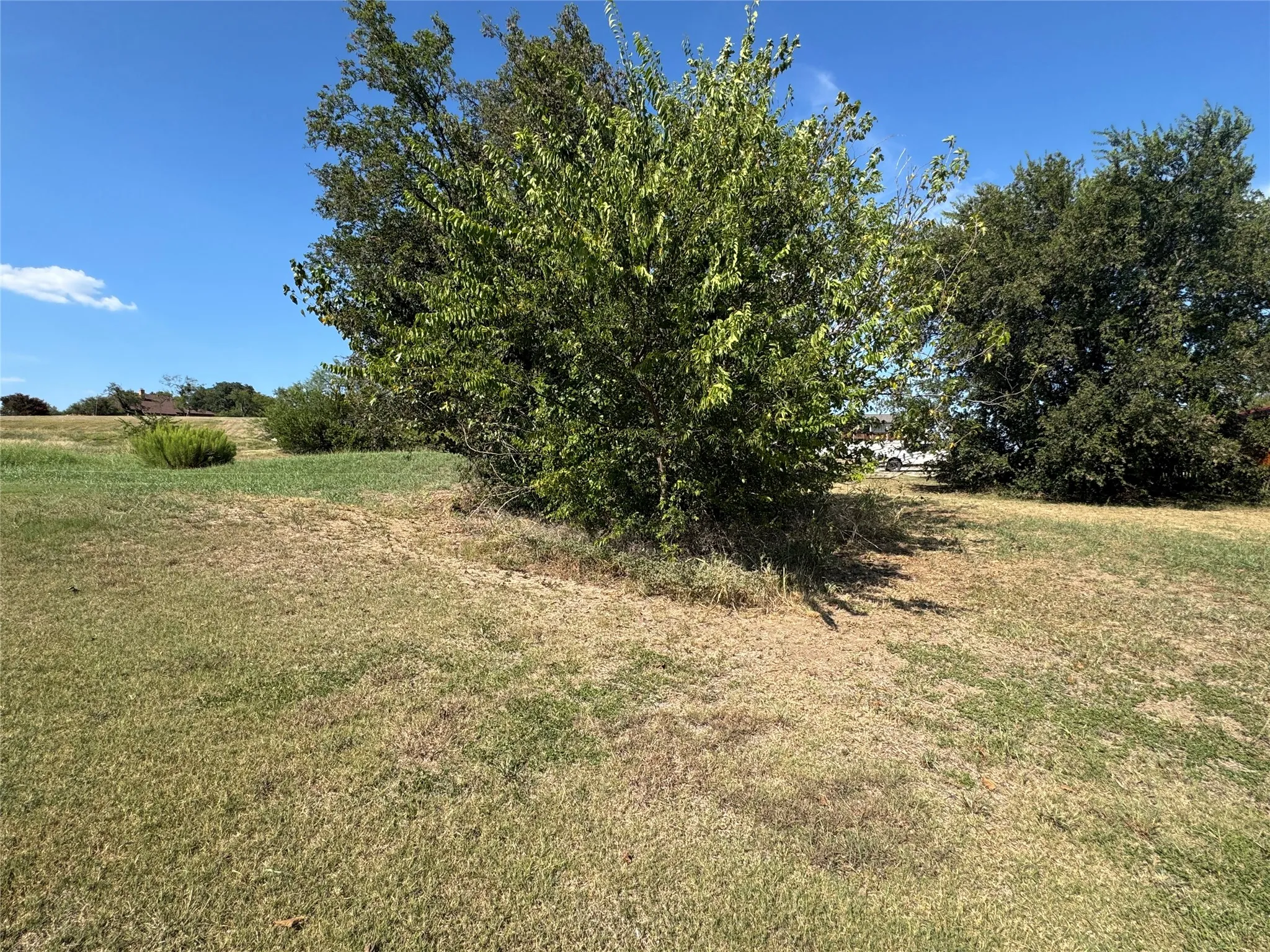 Unimproved Land For Sale in Wise County , 0 TBD Duval Place, Runaway Bay, Texas 76426, 0, 0, Garage spaces, 0 Sqft, built in 0, mls#21055302, Real Estate Agent in Runaway Bay, Homes For Sale in Wise county, Homes For Sale in Runaway Bay, Realtor in Runaway Bay Texas, Real Estate Brokerage Independent Realty Texas, Luminita Cordes Realtor