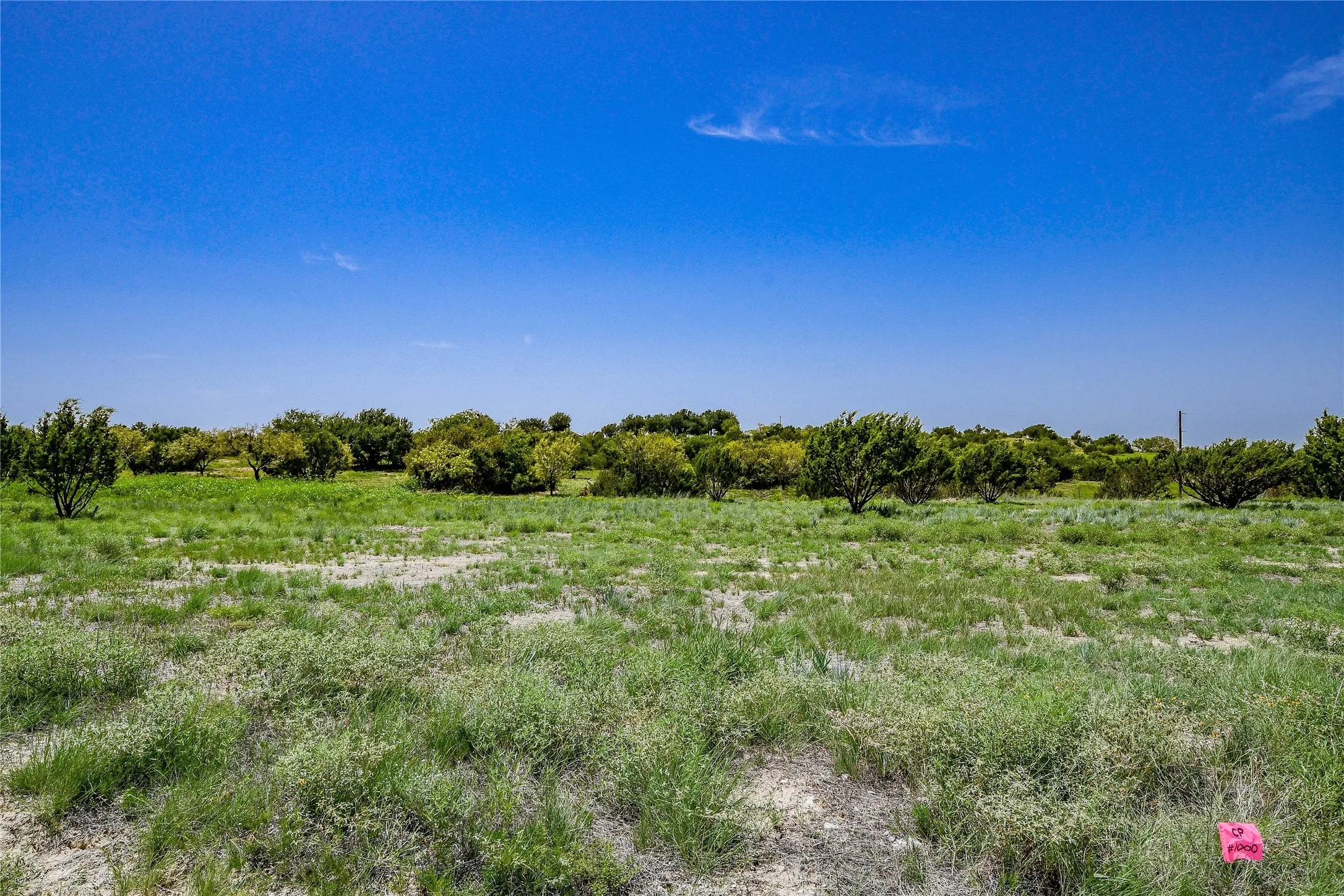 Unimproved Land For Sale in Hood County , TBD Boswell Court, Lipan, Texas 76462, 0, 0, Garage spaces, 0 Sqft, built in 0, mls#21058976, Real Estate Agent in Lipan, Homes For Sale in Hood county, Homes For Sale in Lipan, Realtor in Lipan Texas, Real Estate Brokerage Independent Realty Texas, Luminita Cordes Realtor