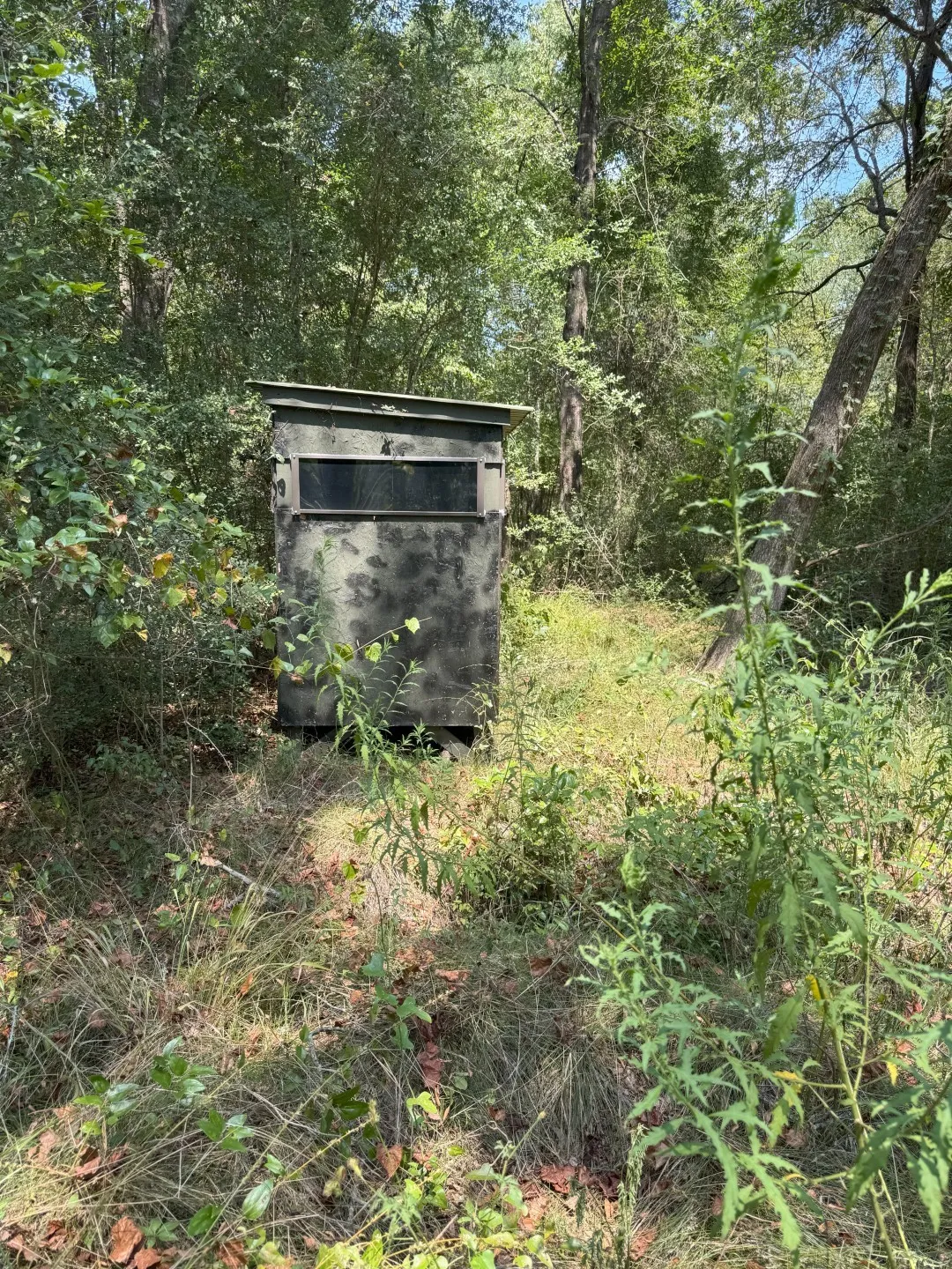 Unimproved Land For Sale in Panola County , TBD-1 FM 2517, Carthage, Texas 75633, 0, 0, Garage spaces, 0 Sqft, built in 0, mls#21060290, Real Estate Agent in Carthage, Homes For Sale in Panola county, Homes For Sale in Carthage, Realtor in Carthage Texas, Real Estate Brokerage Independent Realty Texas, Luminita Cordes Realtor