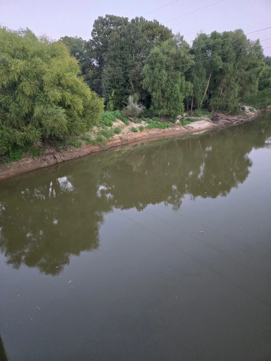 Unimproved Land For Sale in Panola County , TBD-1 FM 2517, Carthage, Texas 75633, 0, 0, Garage spaces, 0 Sqft, built in 0, mls#21060290, Real Estate Agent in Carthage, Homes For Sale in Panola county, Homes For Sale in Carthage, Realtor in Carthage Texas, Real Estate Brokerage Independent Realty Texas, Luminita Cordes Realtor