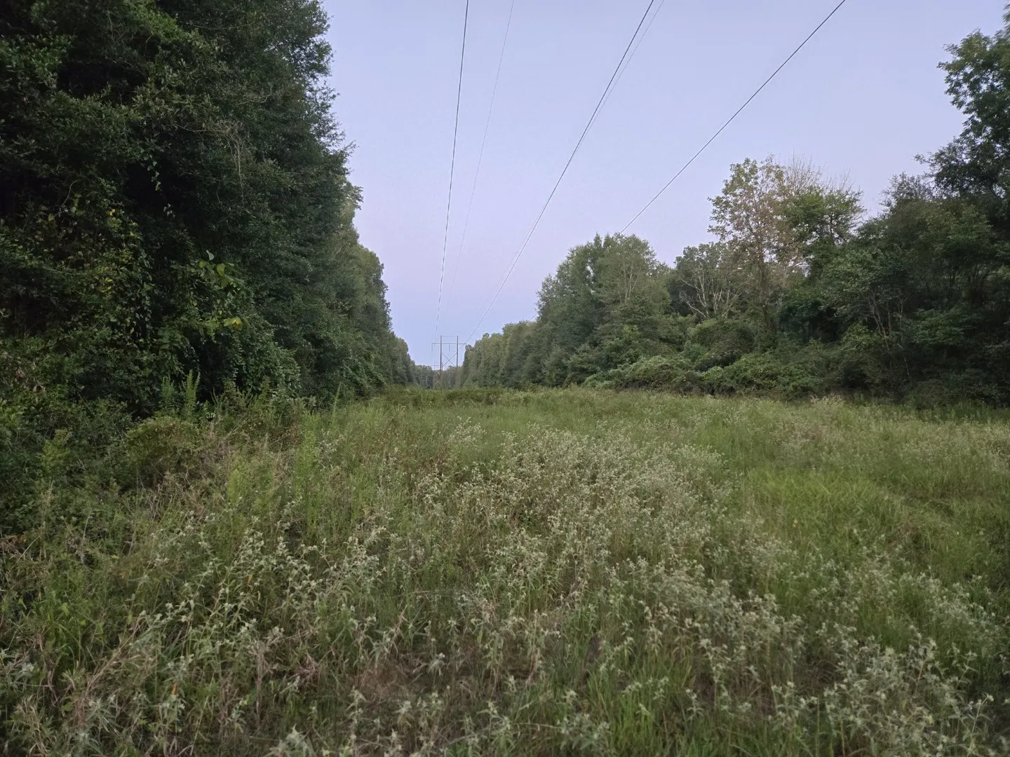 Unimproved Land For Sale in Panola County , TBD-1 FM 2517, Carthage, Texas 75633, 0, 0, Garage spaces, 0 Sqft, built in 0, mls#21060290, Real Estate Agent in Carthage, Homes For Sale in Panola county, Homes For Sale in Carthage, Realtor in Carthage Texas, Real Estate Brokerage Independent Realty Texas, Luminita Cordes Realtor