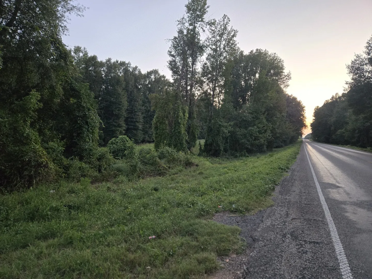 Unimproved Land For Sale in Panola County , TBD-1 FM 2517, Carthage, Texas 75633, 0, 0, Garage spaces, 0 Sqft, built in 0, mls#21060290, Real Estate Agent in Carthage, Homes For Sale in Panola county, Homes For Sale in Carthage, Realtor in Carthage Texas, Real Estate Brokerage Independent Realty Texas, Luminita Cordes Realtor