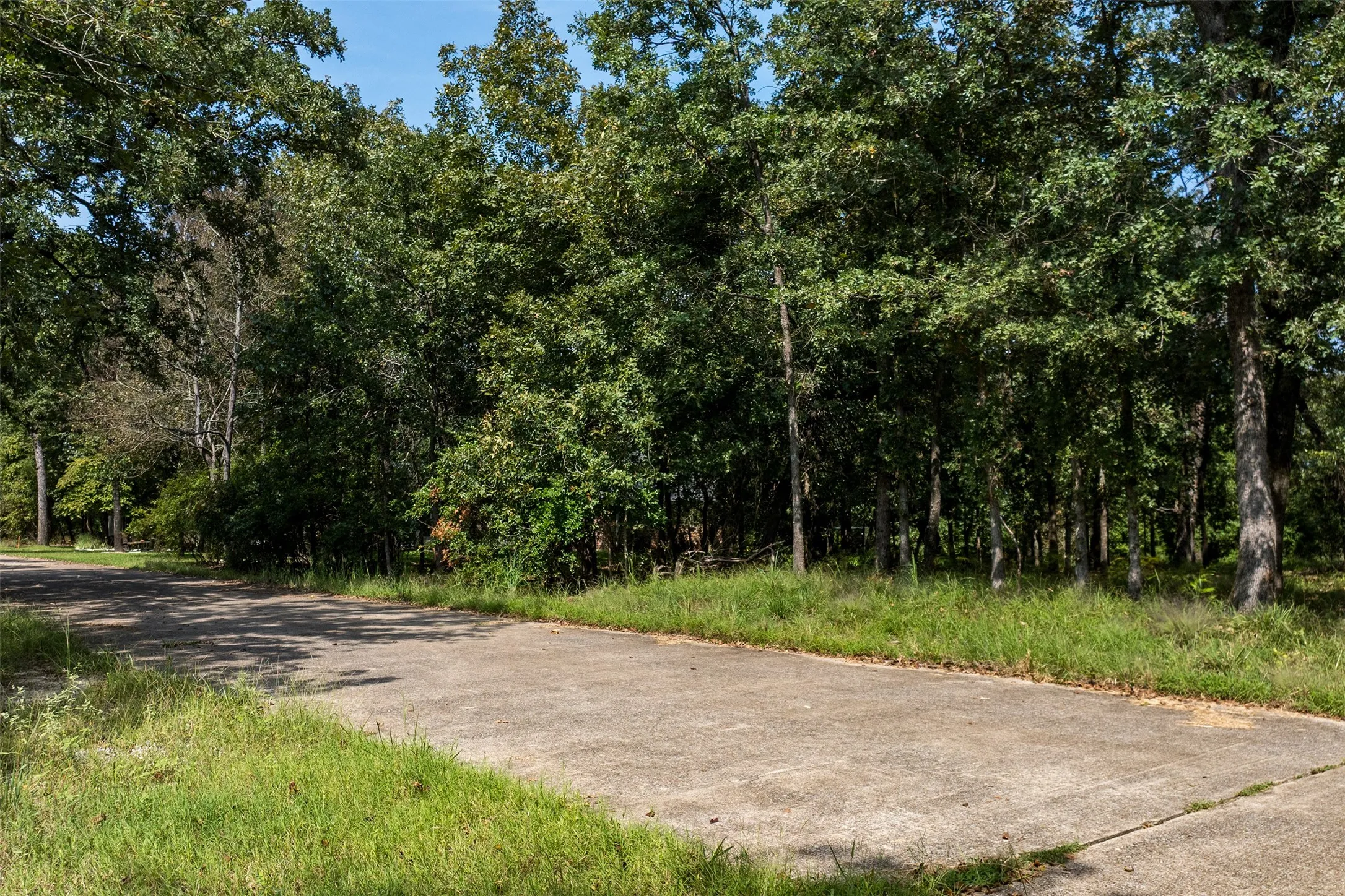 3600 San Saba