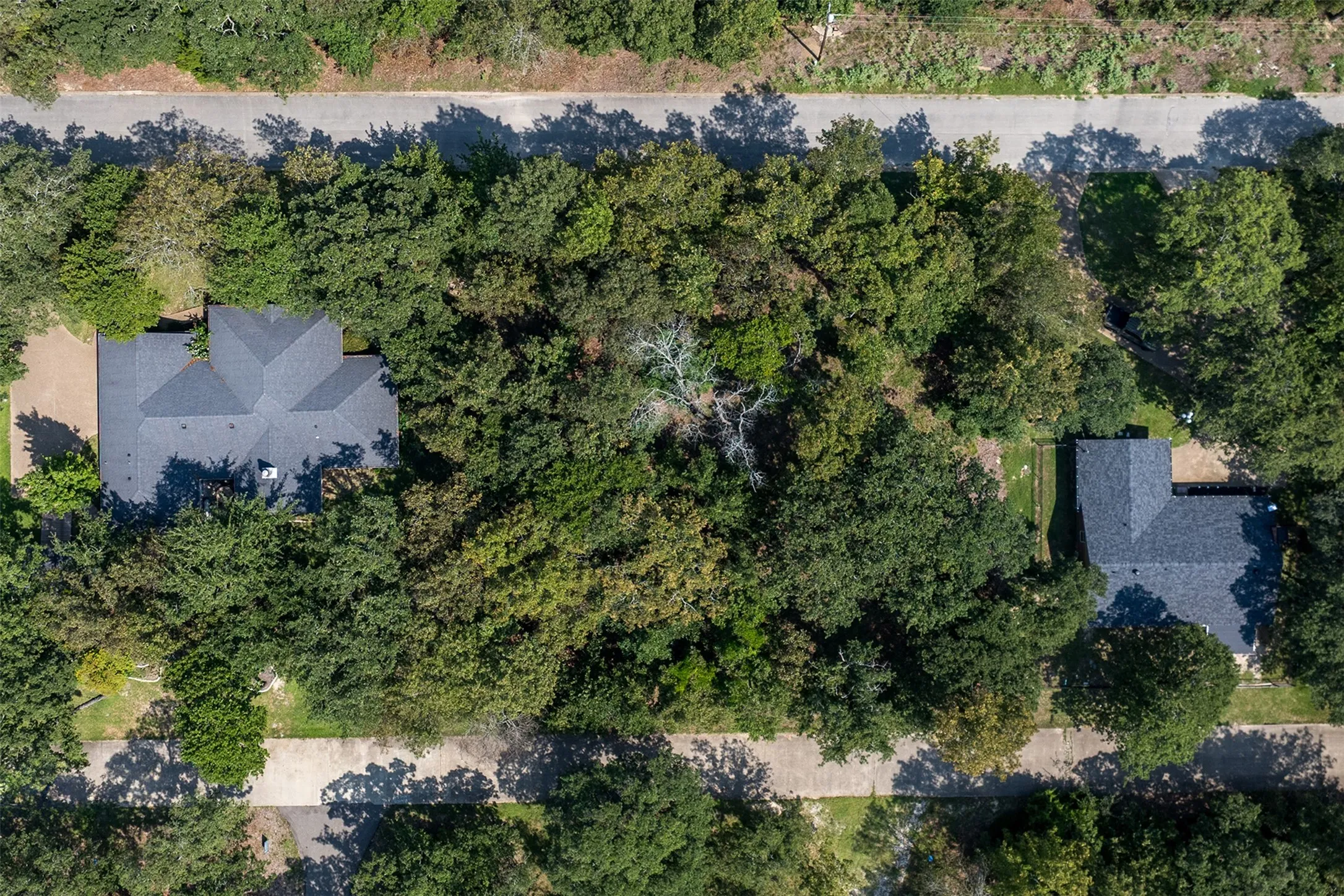 3600 San Saba