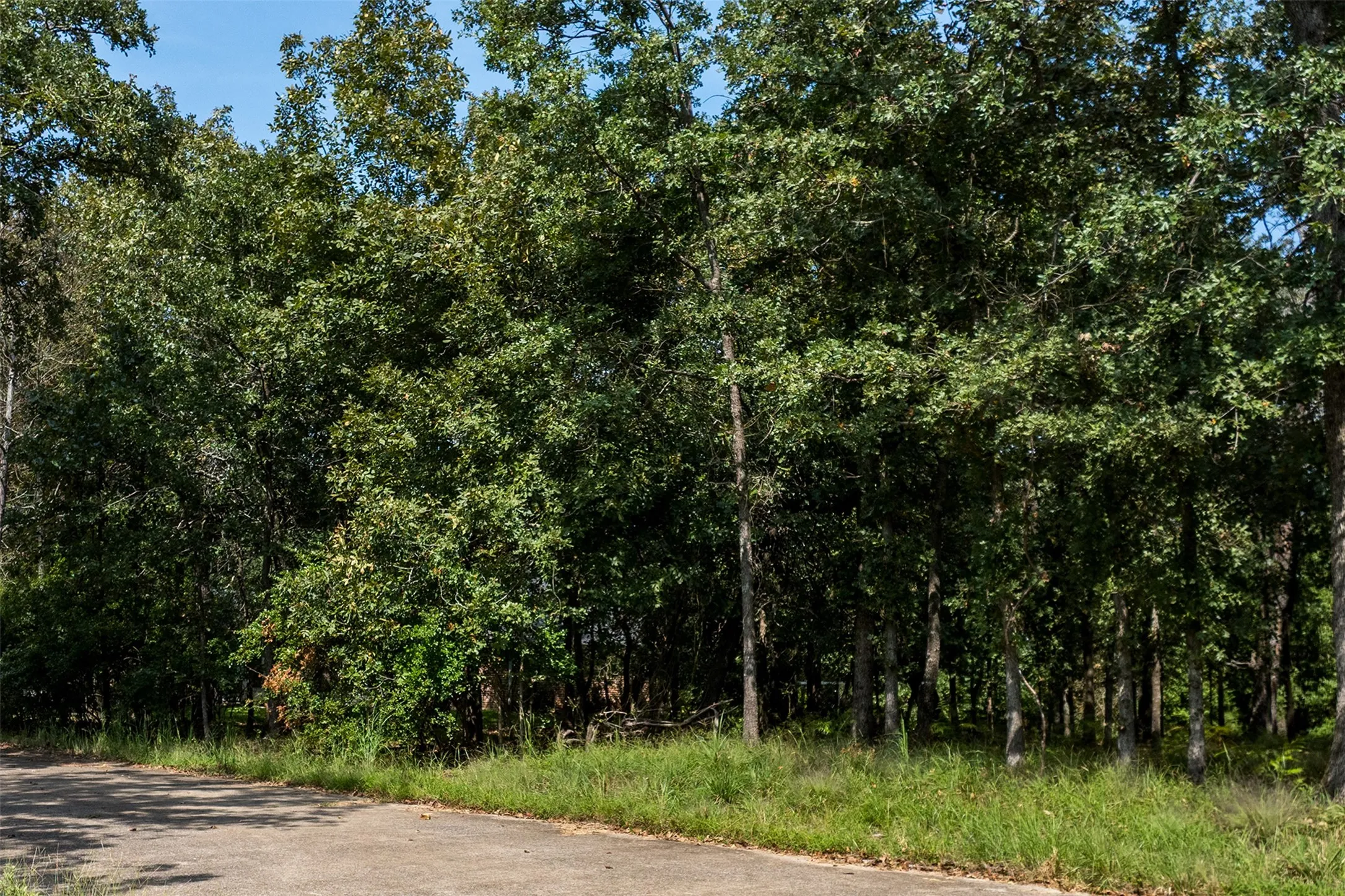 3600 San Saba