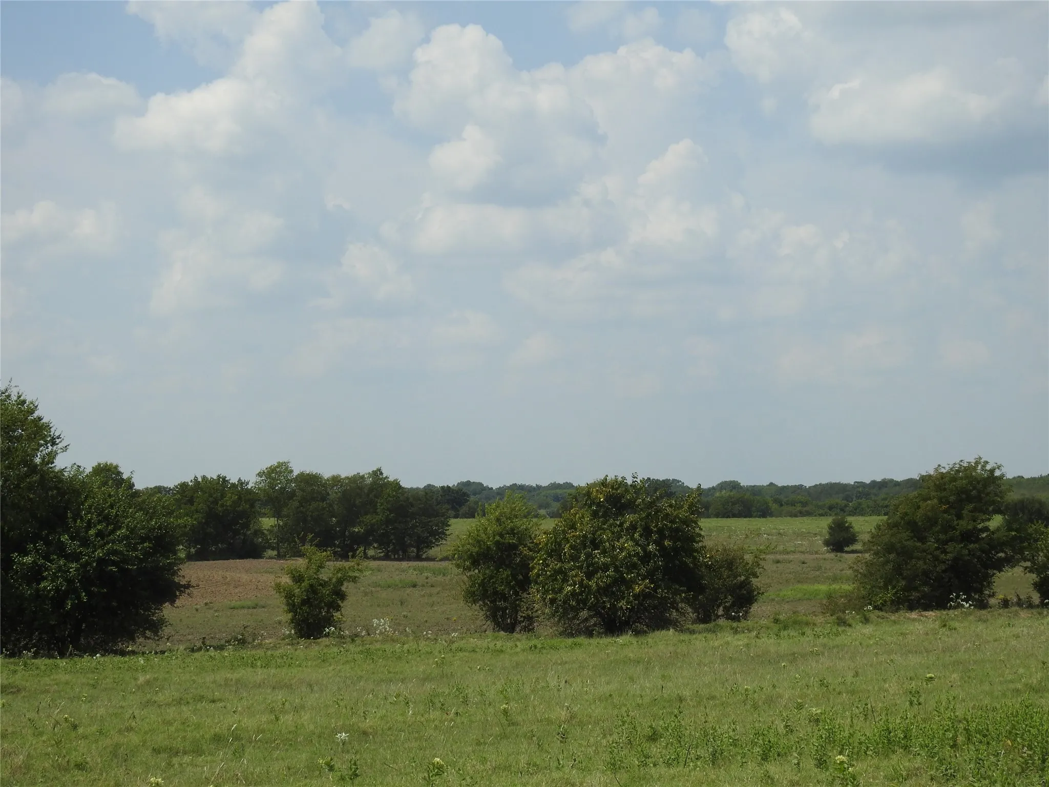 North end of the property.