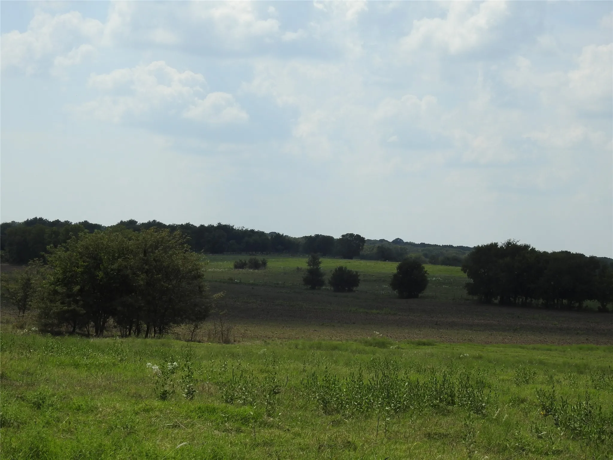 Unimproved Land For Sale in Fannin County , TBD County Road 4040, Ector, Texas 75439, 0, 0, Garage spaces, 0 Sqft, built in 0, mls#21056352, Real Estate Agent in Ector, Homes For Sale in Fannin county, Homes For Sale in Ector, Realtor in Ector Texas, Real Estate Brokerage Independent Realty Texas, Luminita Cordes Realtor