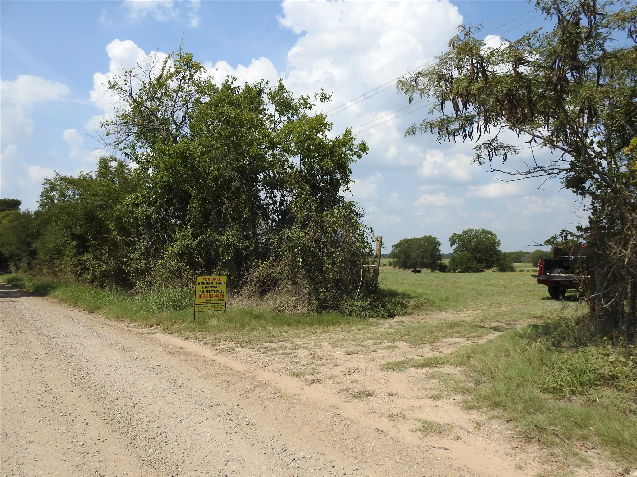 Unimproved Land For Sale in Fannin County , TBD County Road 4040, Ector, Texas 75439, 0, 0, Garage spaces, 0 Sqft, built in 0, mls#21056352, Real Estate Agent in Ector, Homes For Sale in Fannin county, Homes For Sale in Ector, Realtor in Ector Texas, Real Estate Brokerage Independent Realty Texas, Luminita Cordes Realtor