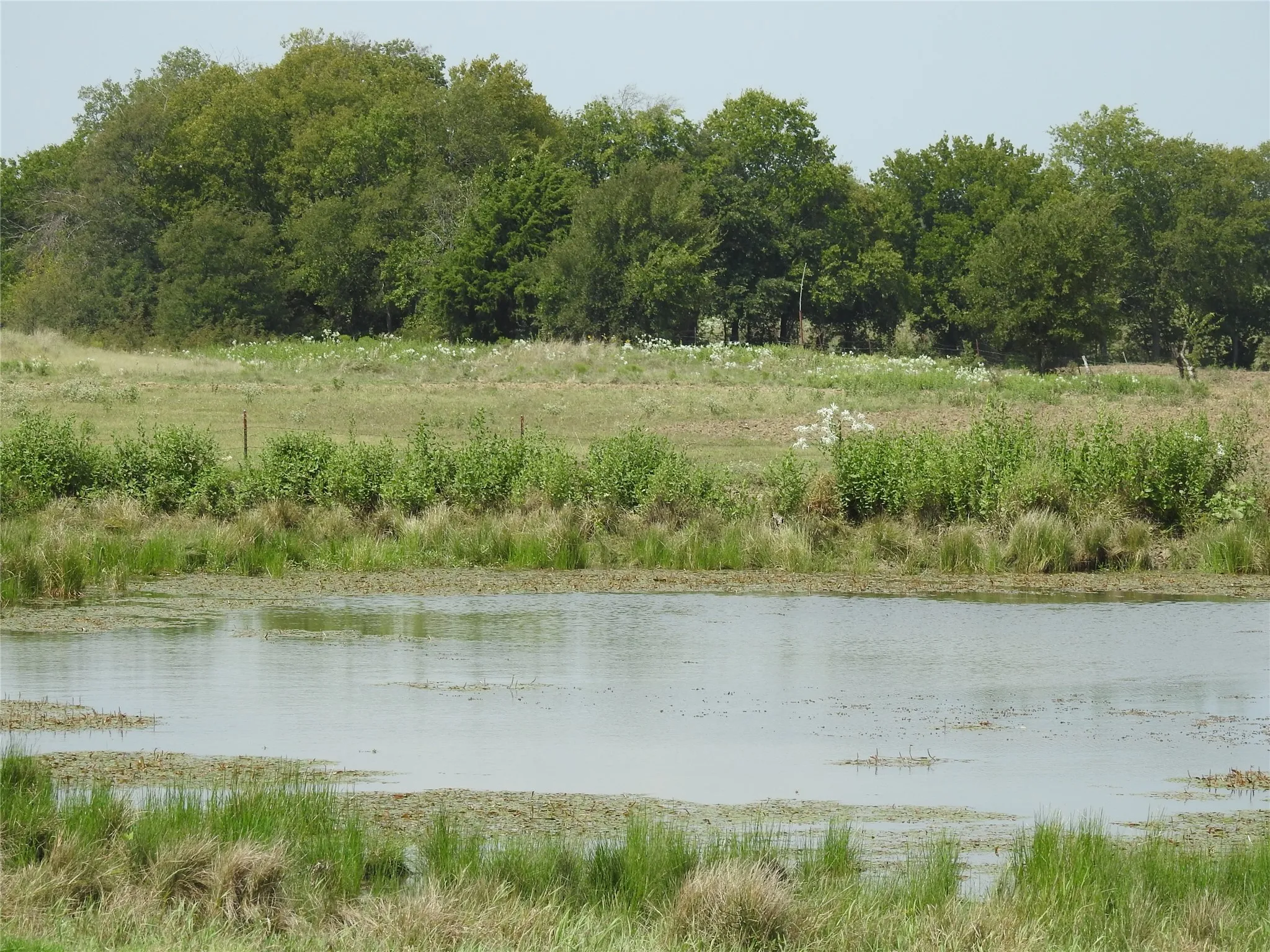 Stock pond close to the front