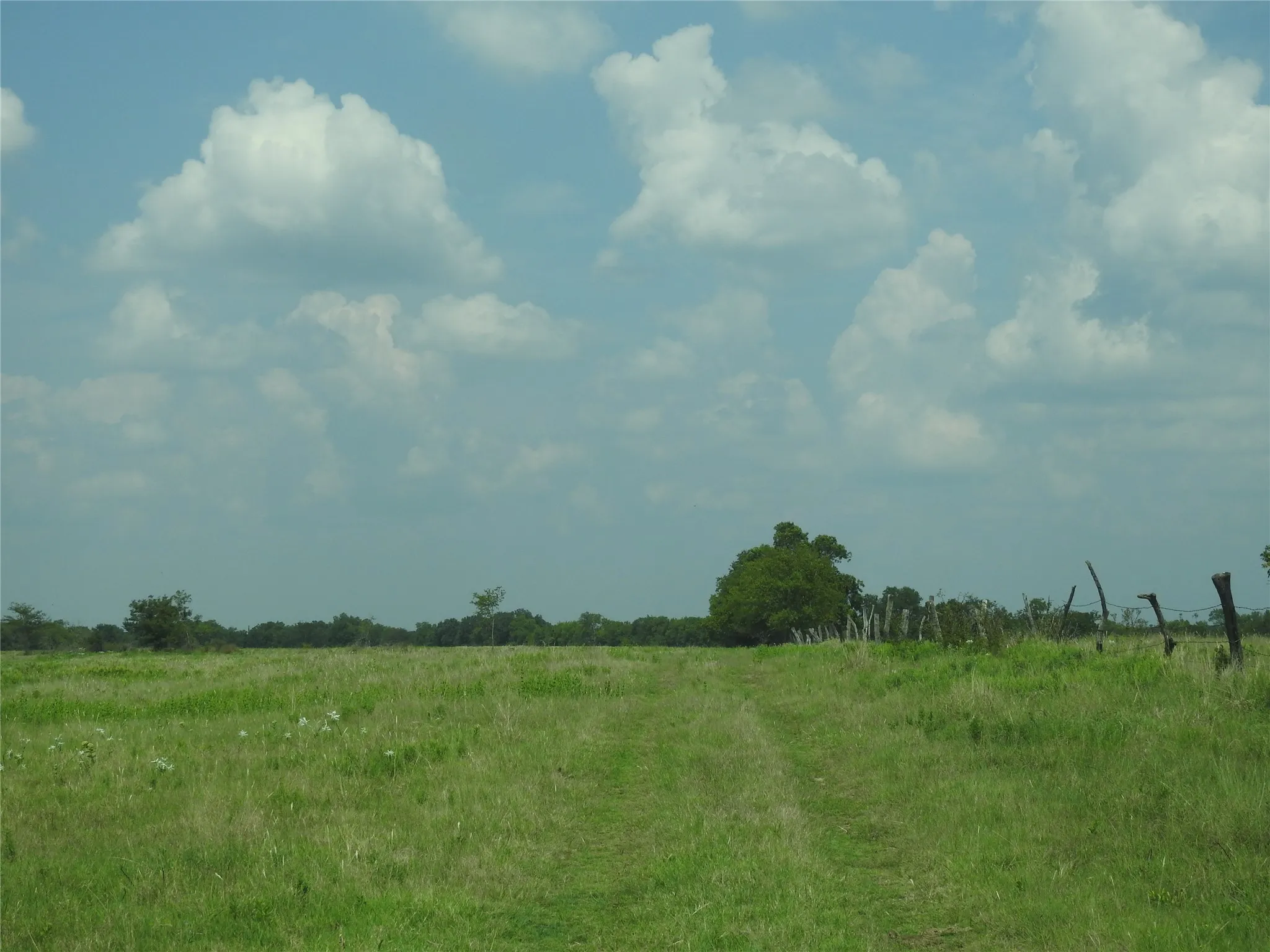 Alone the East fence line.