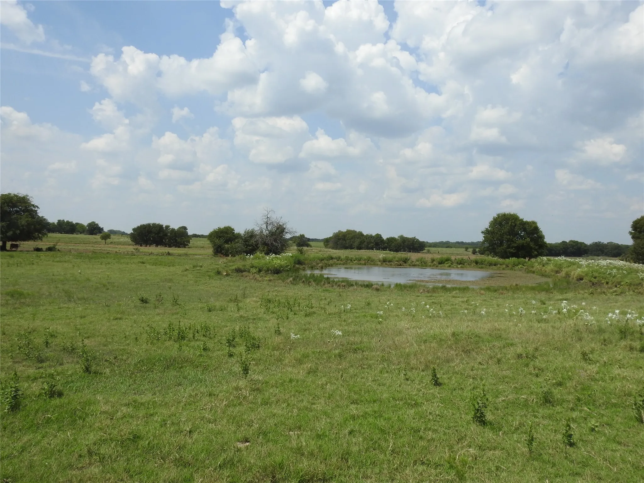 Unimproved Land For Sale in Fannin County , TBD County Road 4040, Ector, Texas 75439, 0, 0, Garage spaces, 0 Sqft, built in 0, mls#21056352, Real Estate Agent in Ector, Homes For Sale in Fannin county, Homes For Sale in Ector, Realtor in Ector Texas, Real Estate Brokerage Independent Realty Texas, Luminita Cordes Realtor