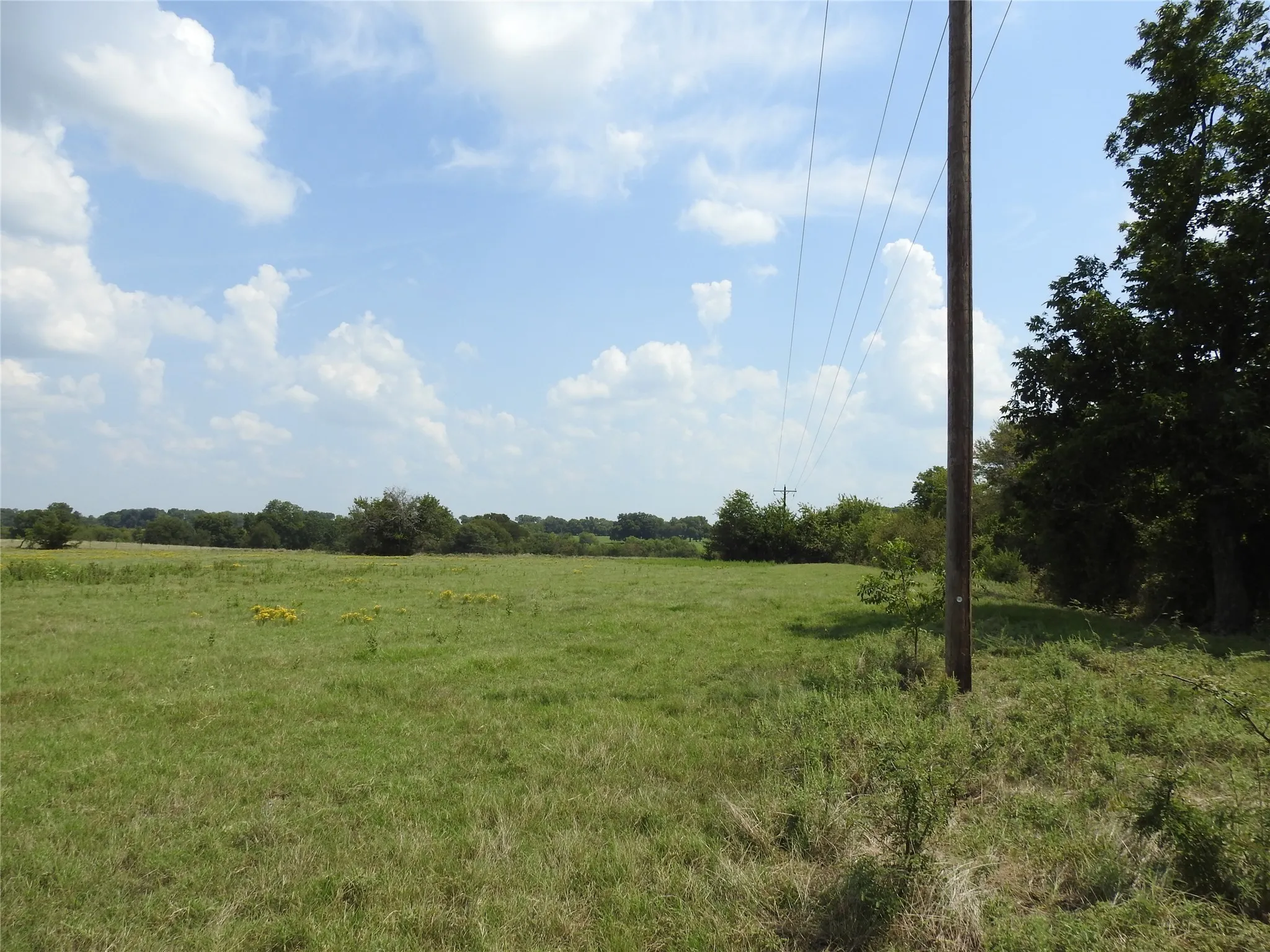 Front part of the property with the eletrical pole nearby. Good stand of bermuda grass even in the early part of September..