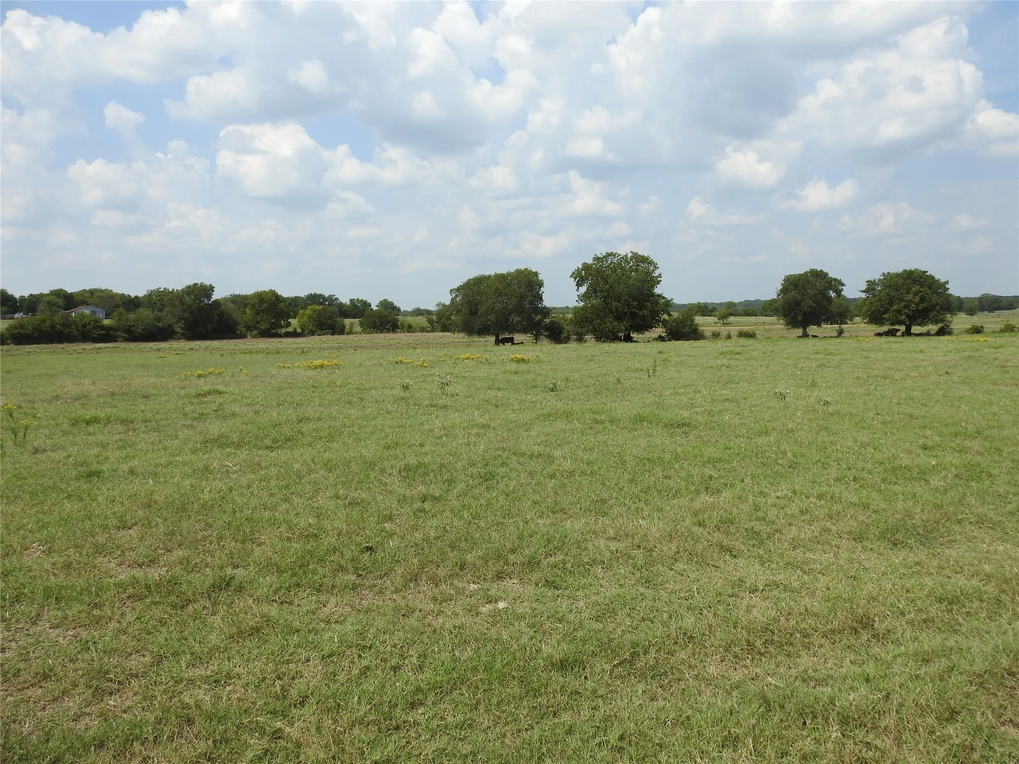 Unimproved Land For Sale in Fannin County , TBD County Road 4040, Ector, Texas 75439, 0, 0, Garage spaces, 0 Sqft, built in 0, mls#21056352, Real Estate Agent in Ector, Homes For Sale in Fannin county, Homes For Sale in Ector, Realtor in Ector Texas, Real Estate Brokerage Independent Realty Texas, Luminita Cordes Realtor