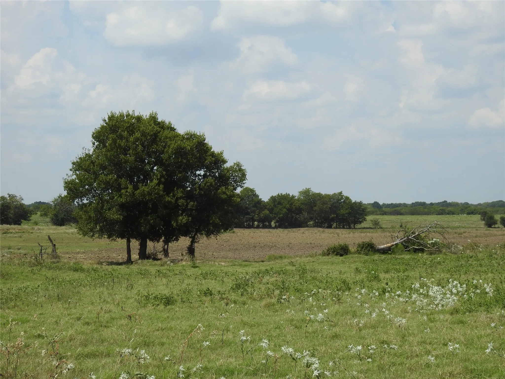 Unimproved Land For Sale in Fannin County , TBD County Road 4040, Ector, Texas 75439, 0, 0, Garage spaces, 0 Sqft, built in 0, mls#21056352, Real Estate Agent in Ector, Homes For Sale in Fannin county, Homes For Sale in Ector, Realtor in Ector Texas, Real Estate Brokerage Independent Realty Texas, Luminita Cordes Realtor