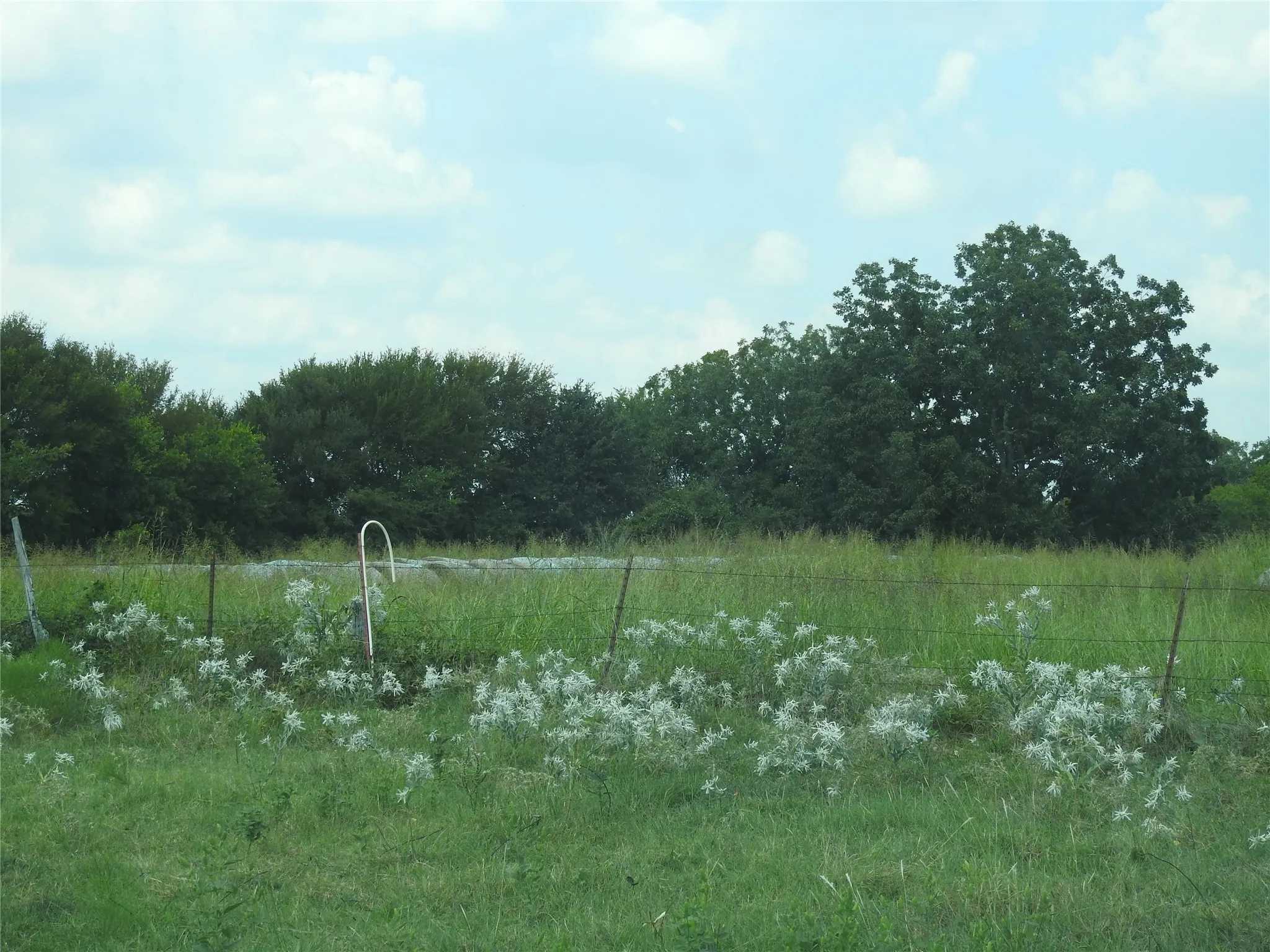 Northwest  property line with the white pvc pipe.