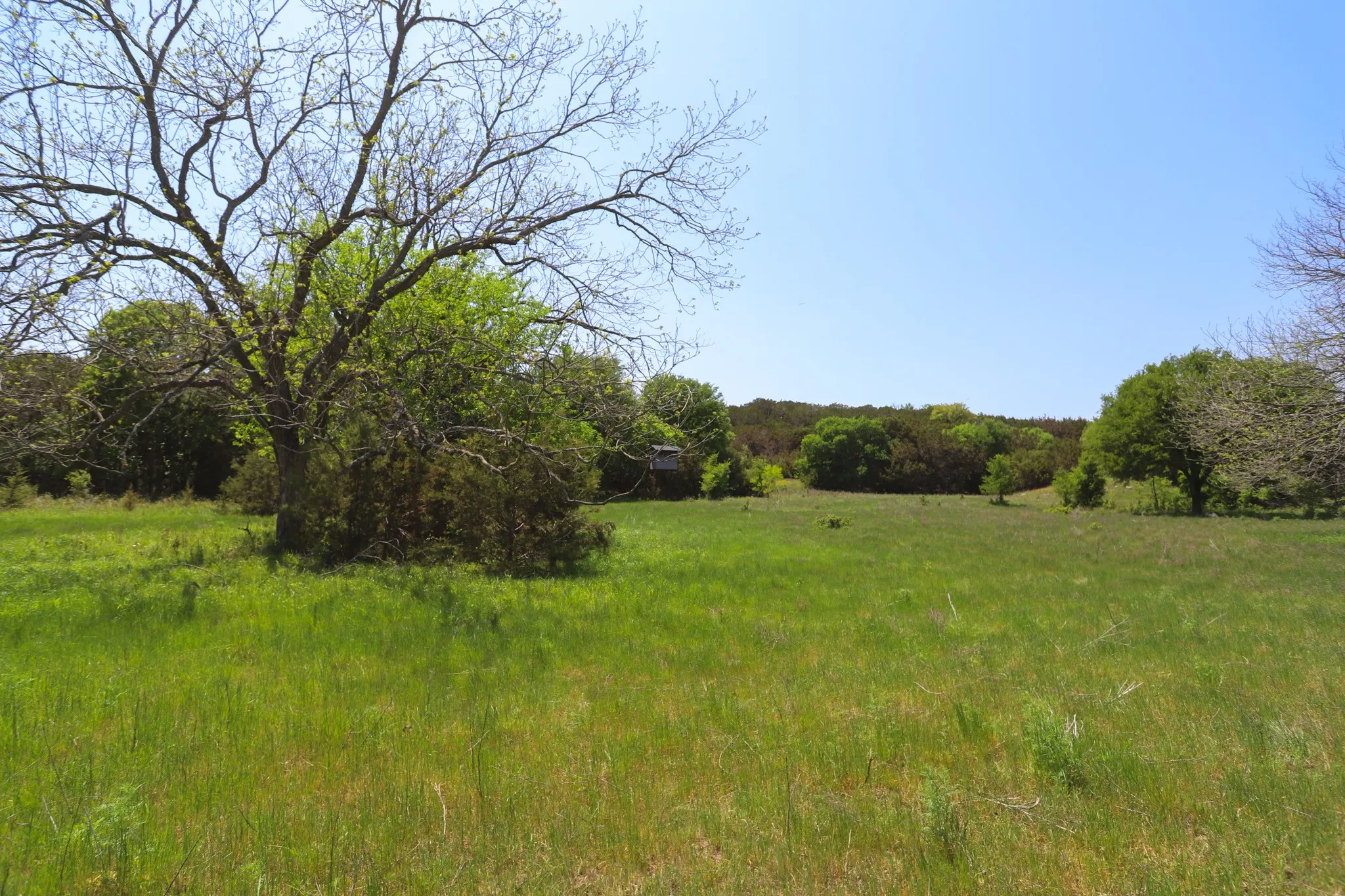 Ranch For Sale in Coryell County , tbd Oglesby Neff Park Road, Moody, Texas 76557, 0, 0, Garage spaces, 0 Sqft, built in 0, mls#21060771, Real Estate Agent in Moody, Homes For Sale in Coryell county, Homes For Sale in Moody, Realtor in Moody Texas, Real Estate Brokerage Independent Realty Texas, Luminita Cordes Realtor