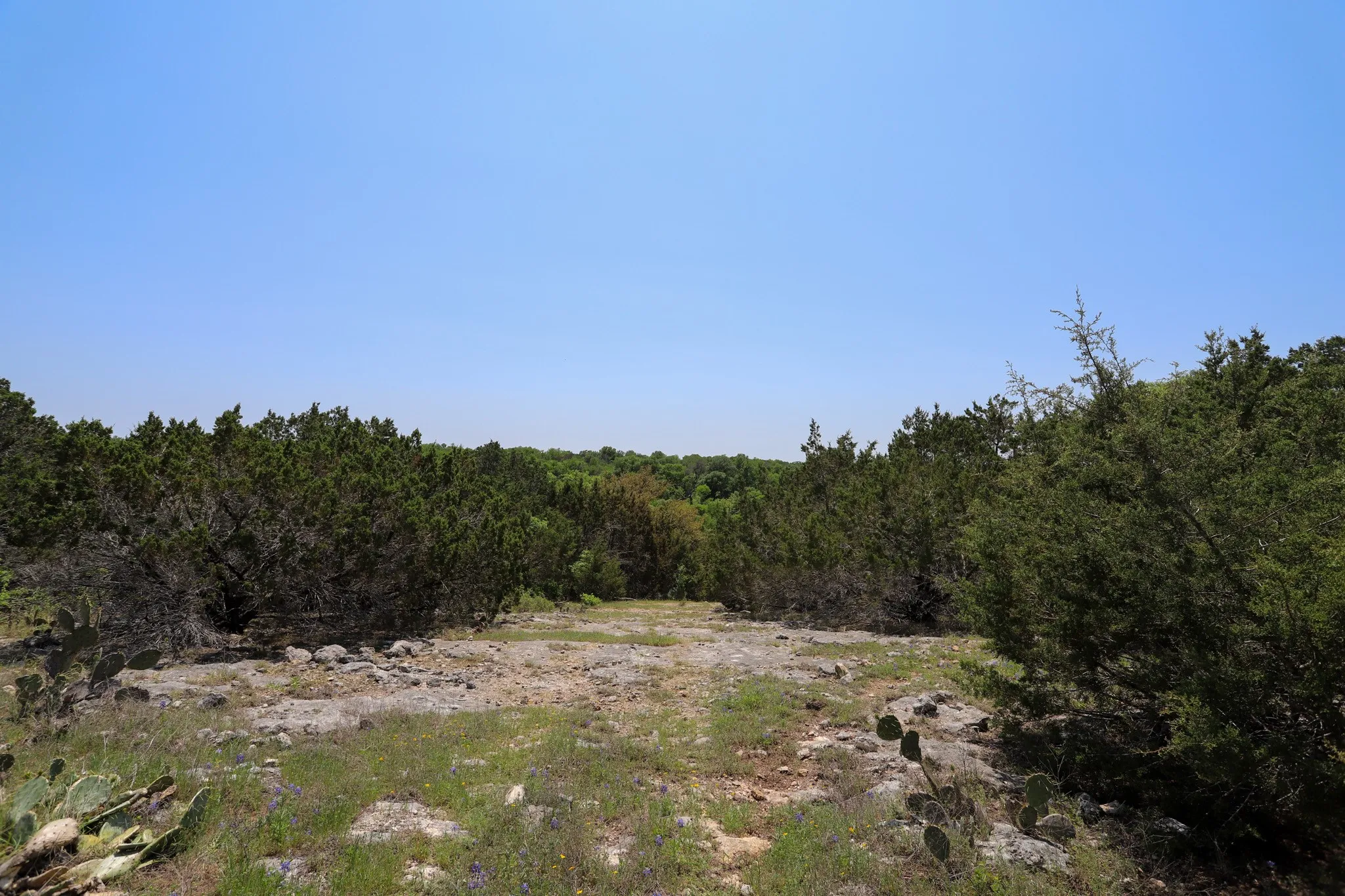 Ranch For Sale in Coryell County , tbd Oglesby Neff Park Road, Moody, Texas 76557, 0, 0, Garage spaces, 0 Sqft, built in 0, mls#21060771, Real Estate Agent in Moody, Homes For Sale in Coryell county, Homes For Sale in Moody, Realtor in Moody Texas, Real Estate Brokerage Independent Realty Texas, Luminita Cordes Realtor