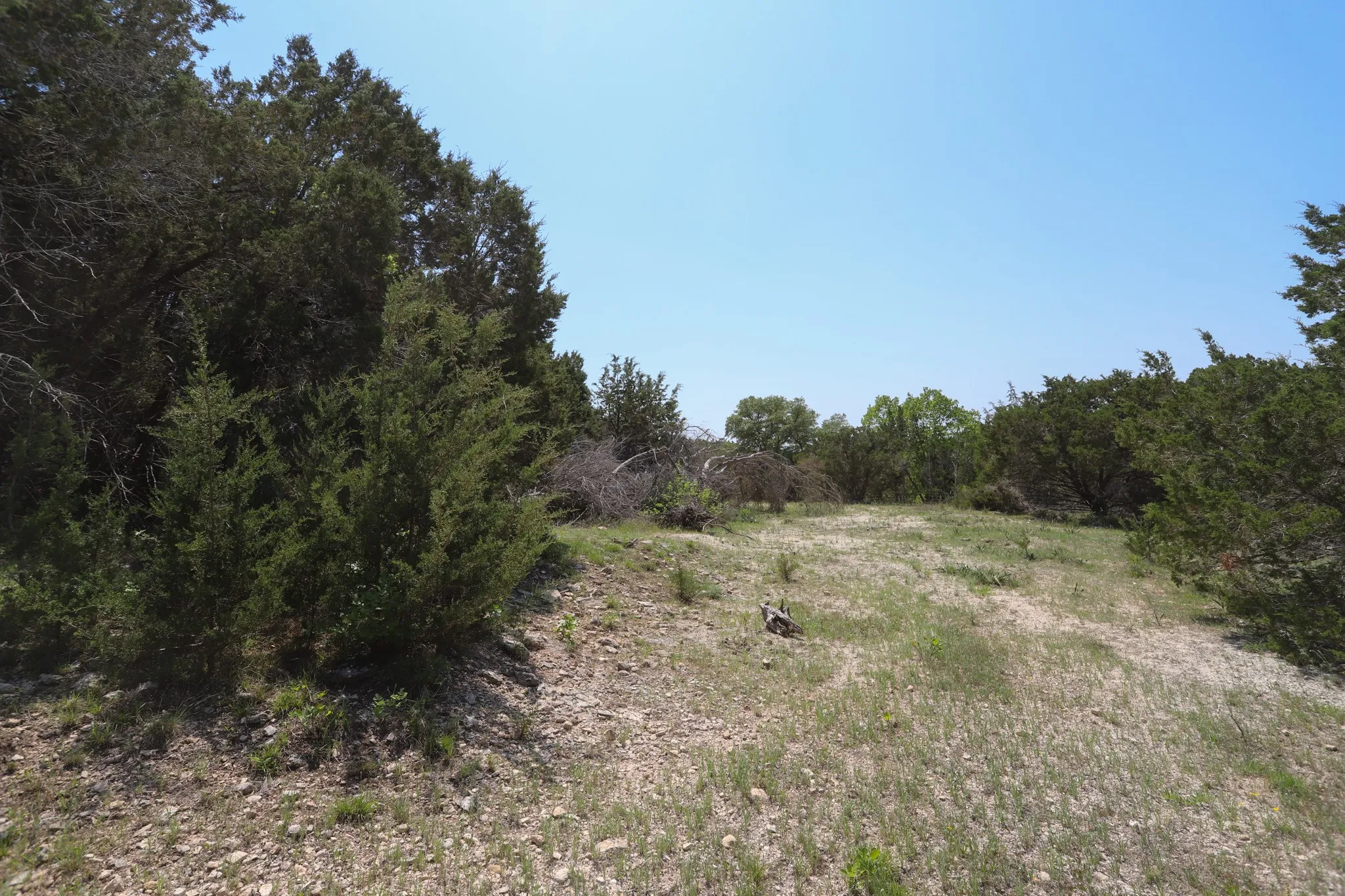 Ranch For Sale in Coryell County , tbd Oglesby Neff Park Road, Moody, Texas 76557, 0, 0, Garage spaces, 0 Sqft, built in 0, mls#21060771, Real Estate Agent in Moody, Homes For Sale in Coryell county, Homes For Sale in Moody, Realtor in Moody Texas, Real Estate Brokerage Independent Realty Texas, Luminita Cordes Realtor