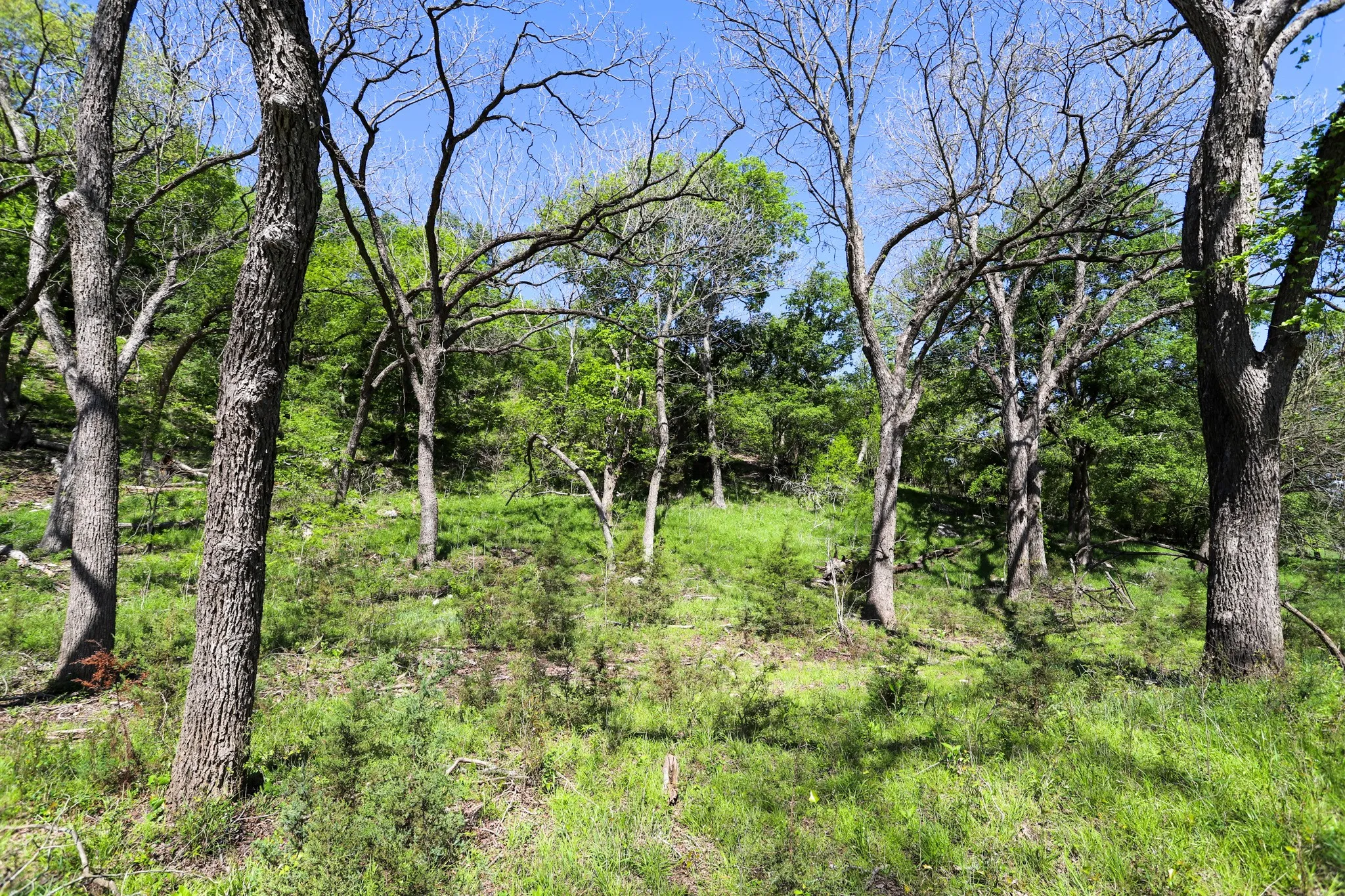 Ranch For Sale in Coryell County , tbd Oglesby Neff Park Road, Moody, Texas 76557, 0, 0, Garage spaces, 0 Sqft, built in 0, mls#21060771, Real Estate Agent in Moody, Homes For Sale in Coryell county, Homes For Sale in Moody, Realtor in Moody Texas, Real Estate Brokerage Independent Realty Texas, Luminita Cordes Realtor