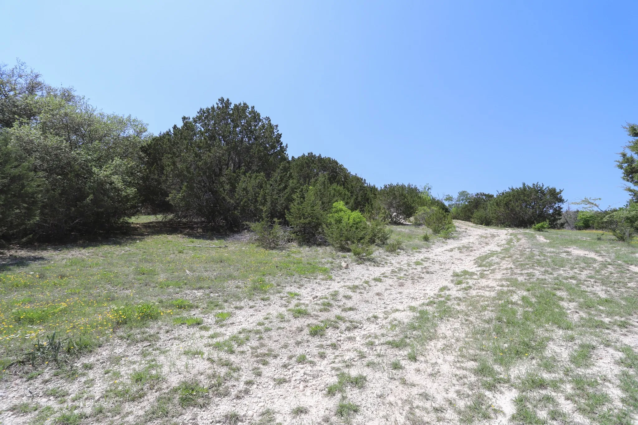 Ranch For Sale in Coryell County , tbd Oglesby Neff Park Road, Moody, Texas 76557, 0, 0, Garage spaces, 0 Sqft, built in 0, mls#21060771, Real Estate Agent in Moody, Homes For Sale in Coryell county, Homes For Sale in Moody, Realtor in Moody Texas, Real Estate Brokerage Independent Realty Texas, Luminita Cordes Realtor