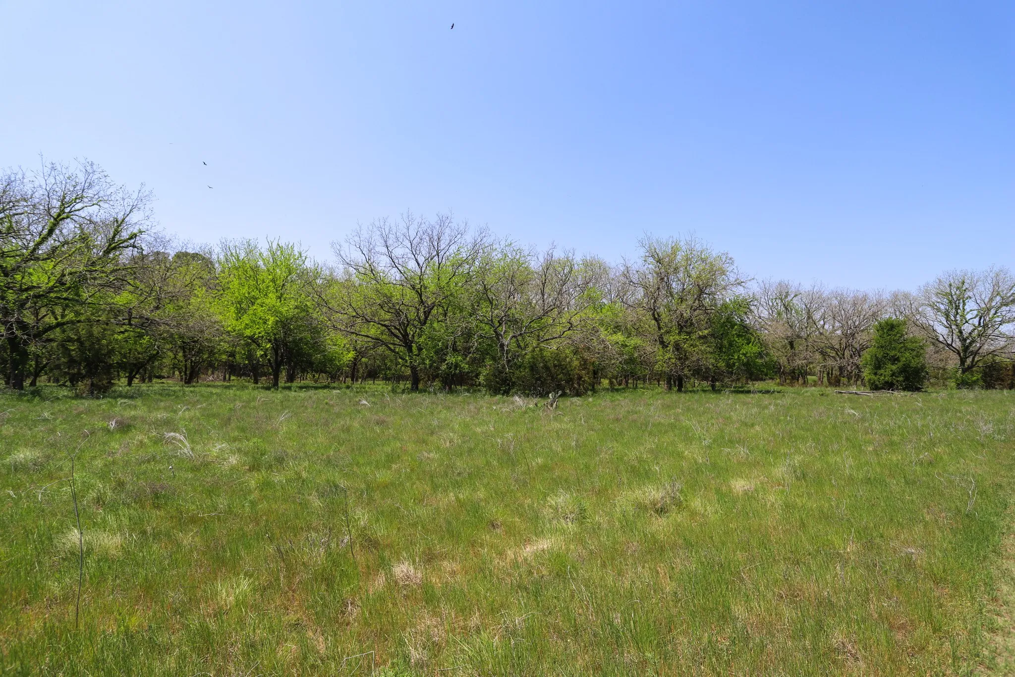 Ranch For Sale in Coryell County , tbd Oglesby Neff Park Road, Moody, Texas 76557, 0, 0, Garage spaces, 0 Sqft, built in 0, mls#21060771, Real Estate Agent in Moody, Homes For Sale in Coryell county, Homes For Sale in Moody, Realtor in Moody Texas, Real Estate Brokerage Independent Realty Texas, Luminita Cordes Realtor