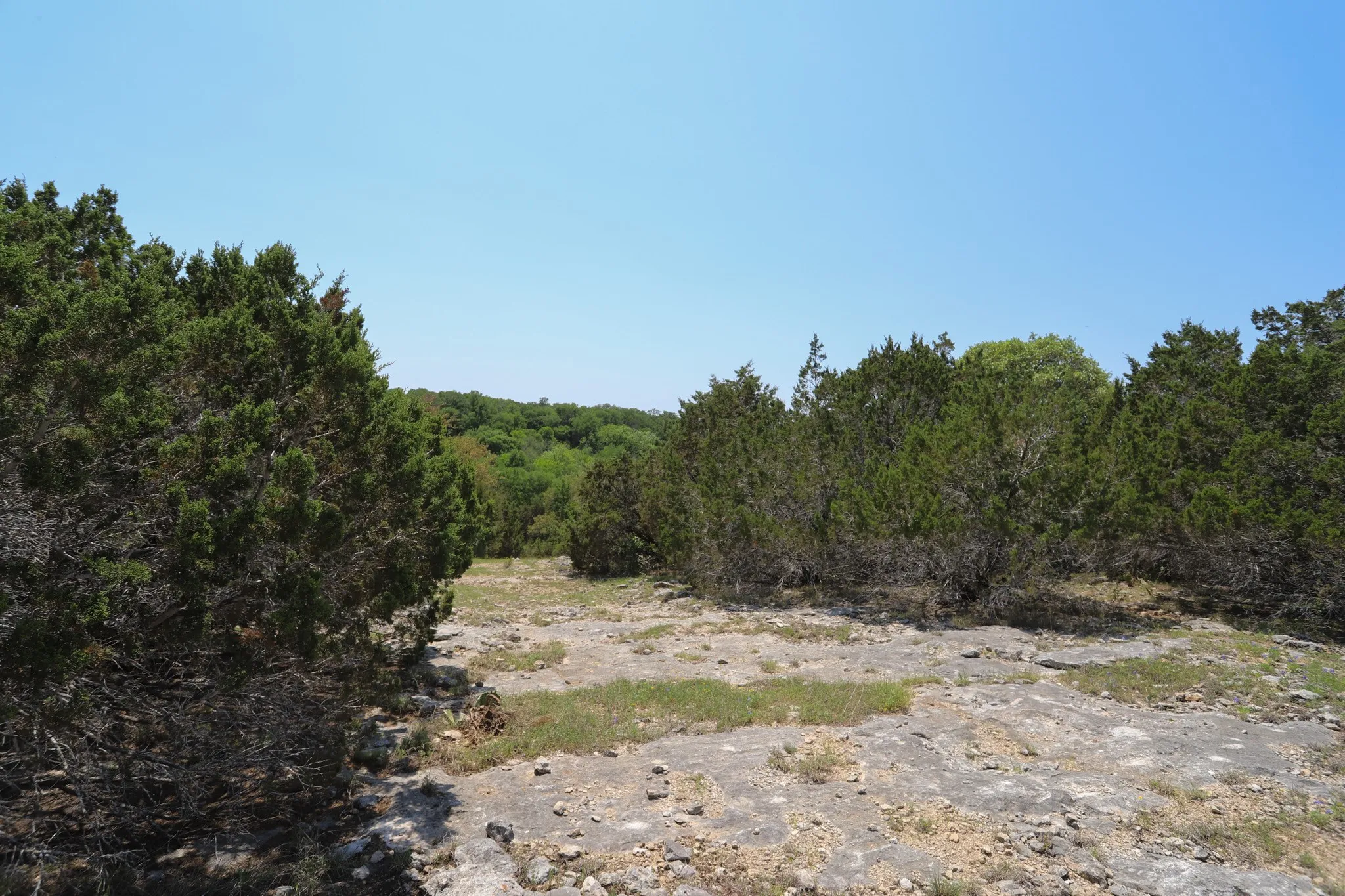 Ranch For Sale in Coryell County , tbd Oglesby Neff Park Road, Moody, Texas 76557, 0, 0, Garage spaces, 0 Sqft, built in 0, mls#21060771, Real Estate Agent in Moody, Homes For Sale in Coryell county, Homes For Sale in Moody, Realtor in Moody Texas, Real Estate Brokerage Independent Realty Texas, Luminita Cordes Realtor