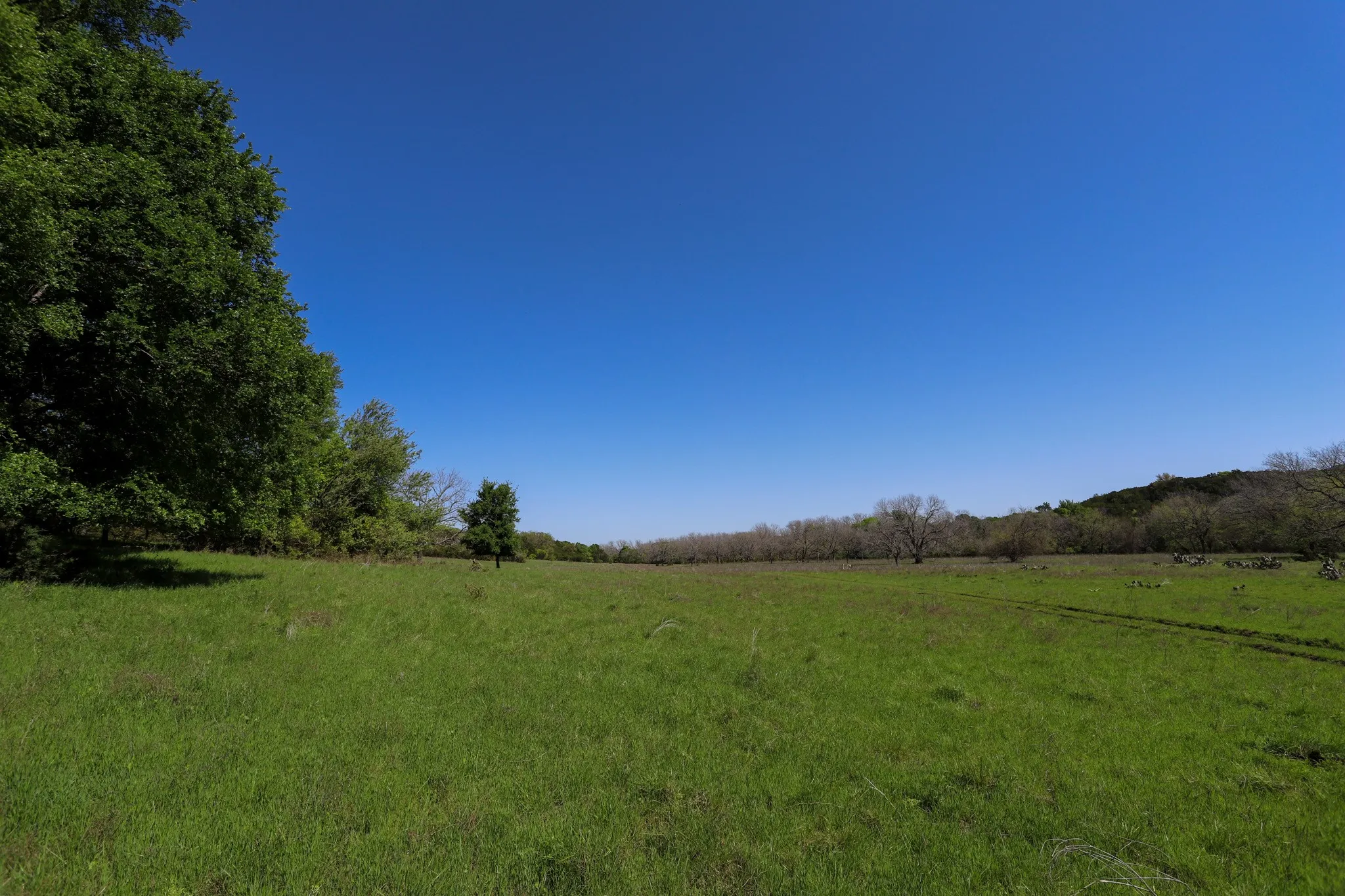 Ranch For Sale in Coryell County , tbd Oglesby Neff Park Road, Moody, Texas 76557, 0, 0, Garage spaces, 0 Sqft, built in 0, mls#21060771, Real Estate Agent in Moody, Homes For Sale in Coryell county, Homes For Sale in Moody, Realtor in Moody Texas, Real Estate Brokerage Independent Realty Texas, Luminita Cordes Realtor