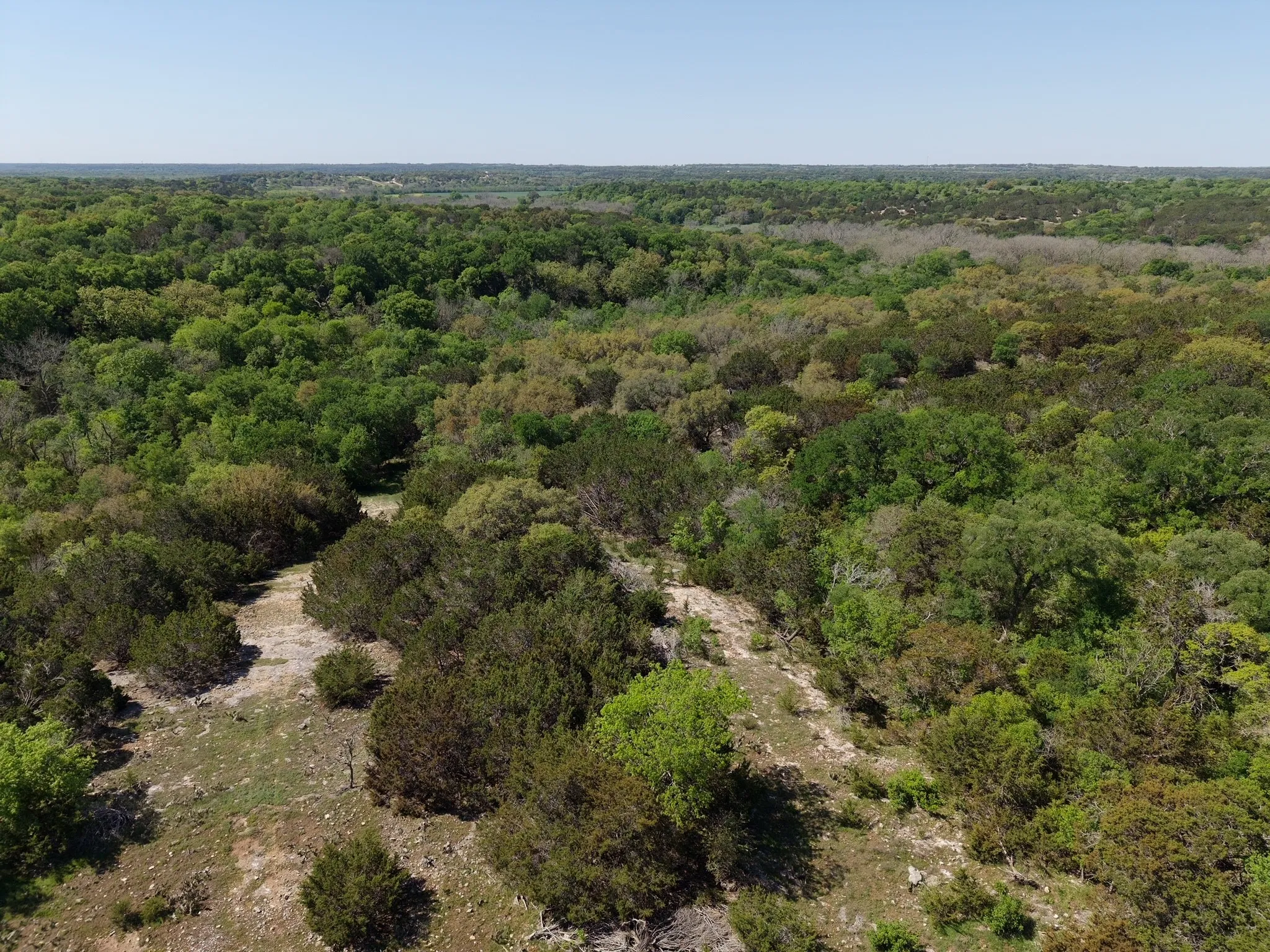 Ranch For Sale in Coryell County , tbd Oglesby Neff Park Road, Moody, Texas 76557, 0, 0, Garage spaces, 0 Sqft, built in 0, mls#21060771, Real Estate Agent in Moody, Homes For Sale in Coryell county, Homes For Sale in Moody, Realtor in Moody Texas, Real Estate Brokerage Independent Realty Texas, Luminita Cordes Realtor