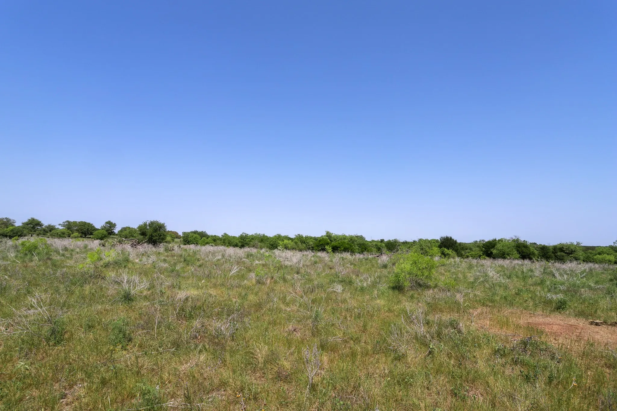 Ranch For Sale in Coryell County , tbd Oglesby Neff Park Road, Moody, Texas 76557, 0, 0, Garage spaces, 0 Sqft, built in 0, mls#21060771, Real Estate Agent in Moody, Homes For Sale in Coryell county, Homes For Sale in Moody, Realtor in Moody Texas, Real Estate Brokerage Independent Realty Texas, Luminita Cordes Realtor