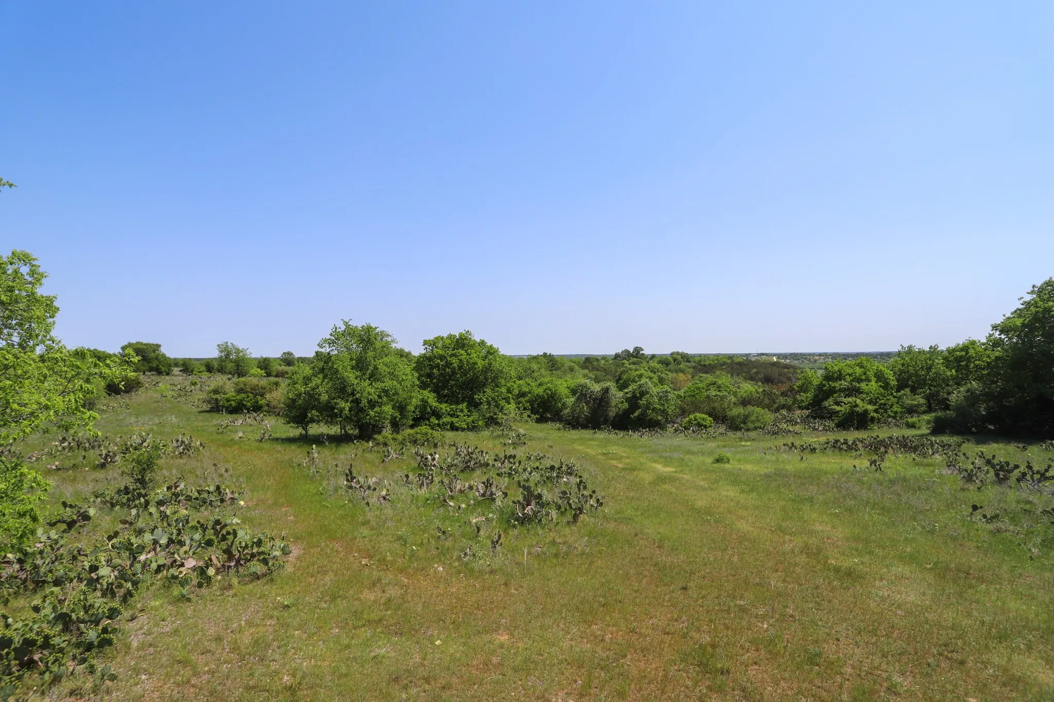 Ranch For Sale in Coryell County , tbd Oglesby Neff Park Road, Moody, Texas 76557, 0, 0, Garage spaces, 0 Sqft, built in 0, mls#21060771, Real Estate Agent in Moody, Homes For Sale in Coryell county, Homes For Sale in Moody, Realtor in Moody Texas, Real Estate Brokerage Independent Realty Texas, Luminita Cordes Realtor
