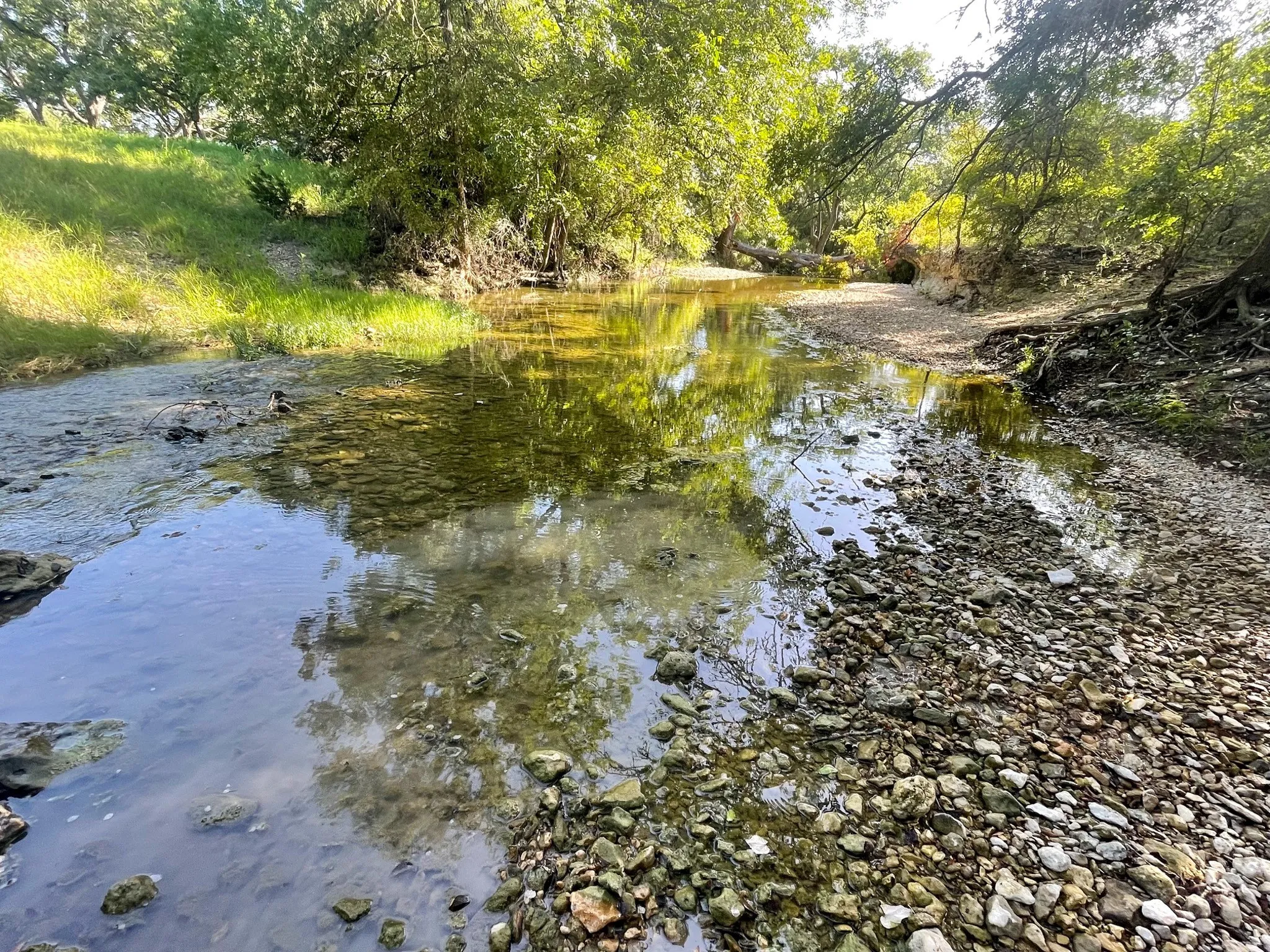 Ranch For Sale in Coryell County , tbd Oglesby Neff Park Road, Moody, Texas 76557, 0, 0, Garage spaces, 0 Sqft, built in 0, mls#21060771, Real Estate Agent in Moody, Homes For Sale in Coryell county, Homes For Sale in Moody, Realtor in Moody Texas, Real Estate Brokerage Independent Realty Texas, Luminita Cordes Realtor