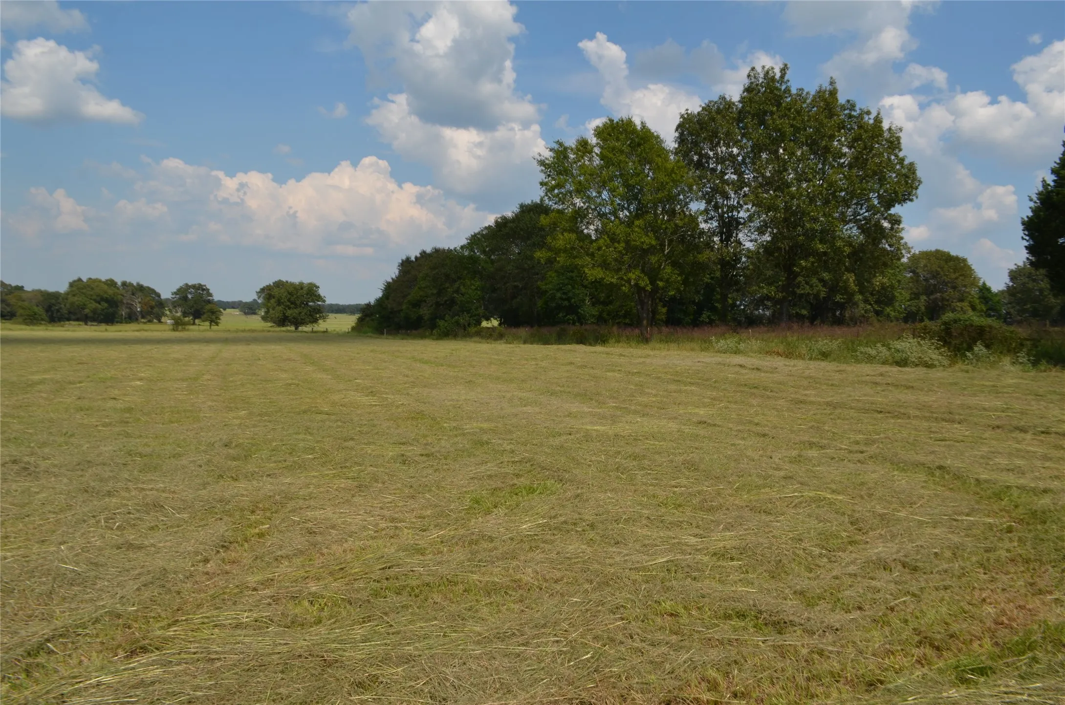 View of local wilderness with rural landscape