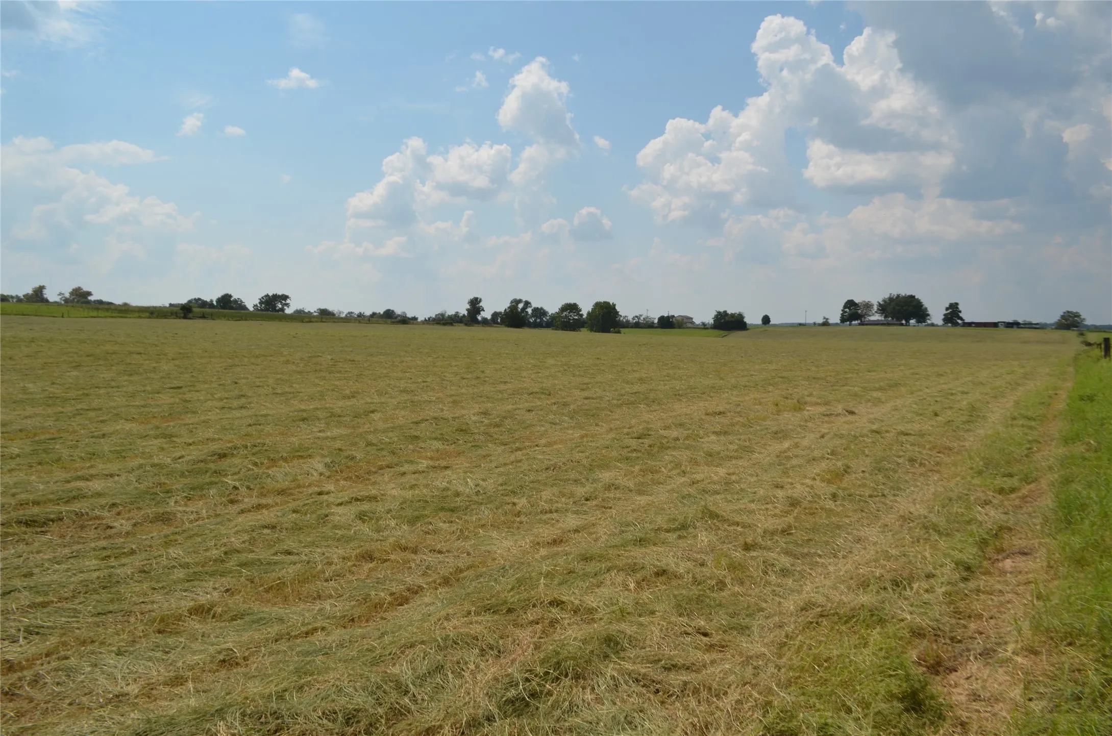 View of local wilderness with rural landscape