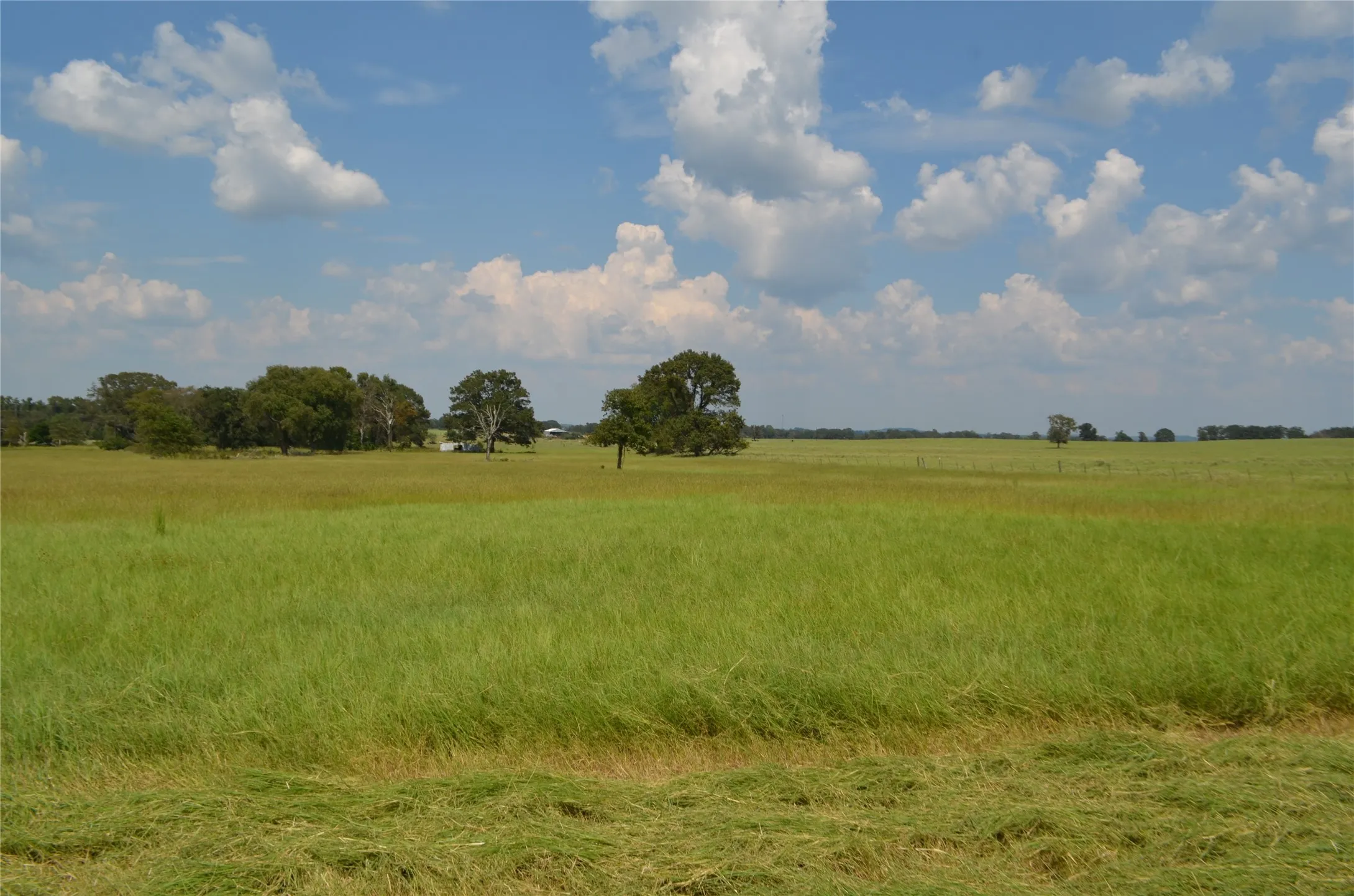 View of nature with rural landscape