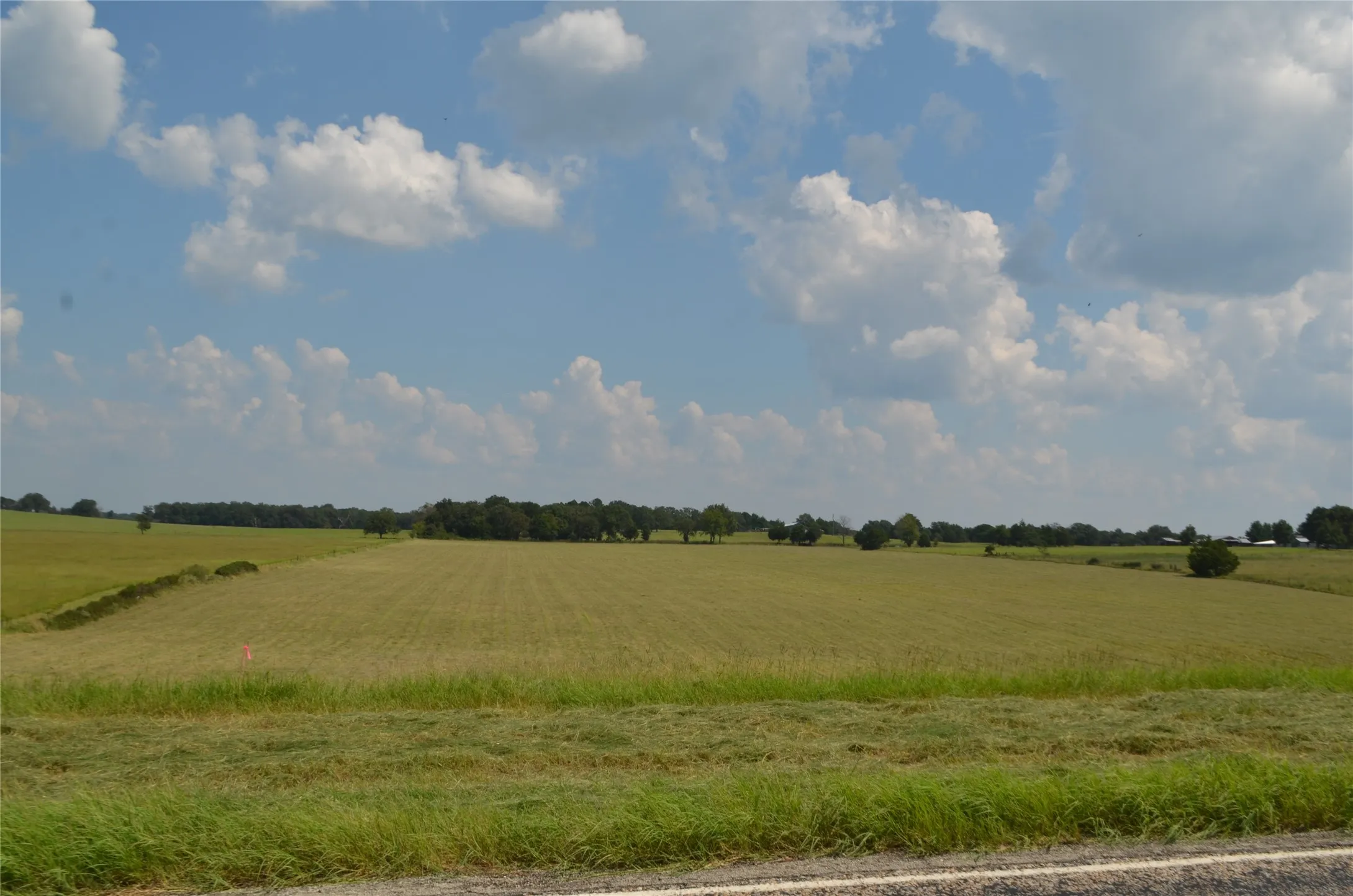 View of local wilderness featuring rural landscape