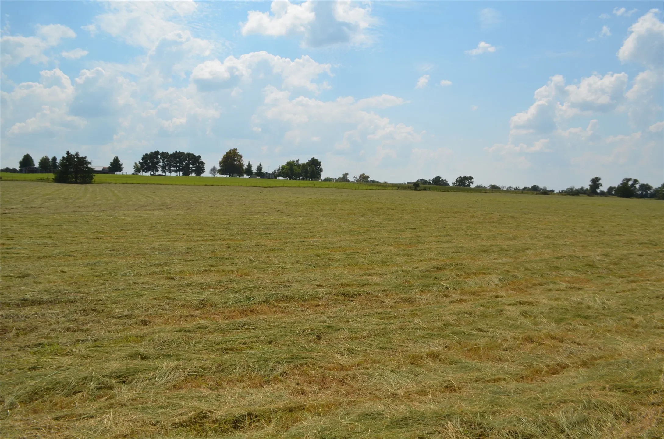 View of undeveloped land featuring rural landscape