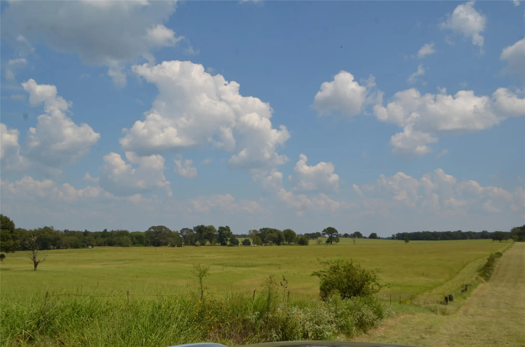 View of local wilderness featuring rural landscape