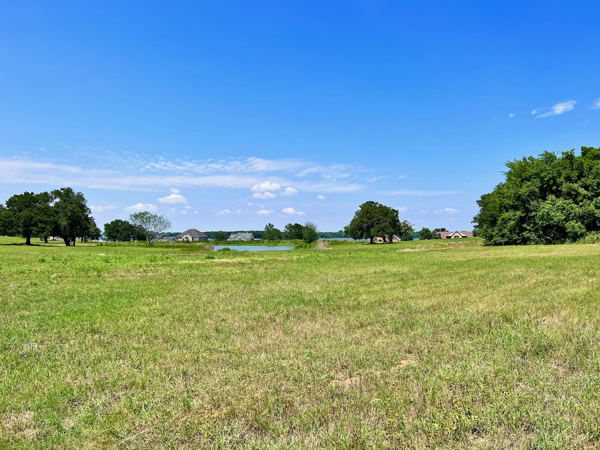 Unimproved Land For Sale in Navarro County , Lot 73 SE County Road 3150, Corsicana, Texas 75109, 0, 0, Garage spaces, 0 Sqft, built in 0, mls#21058571, Real Estate Agent in Corsicana, Homes For Sale in Navarro county, Homes For Sale in Corsicana, Realtor in Corsicana Texas, Real Estate Brokerage Independent Realty Texas, Luminita Cordes Realtor