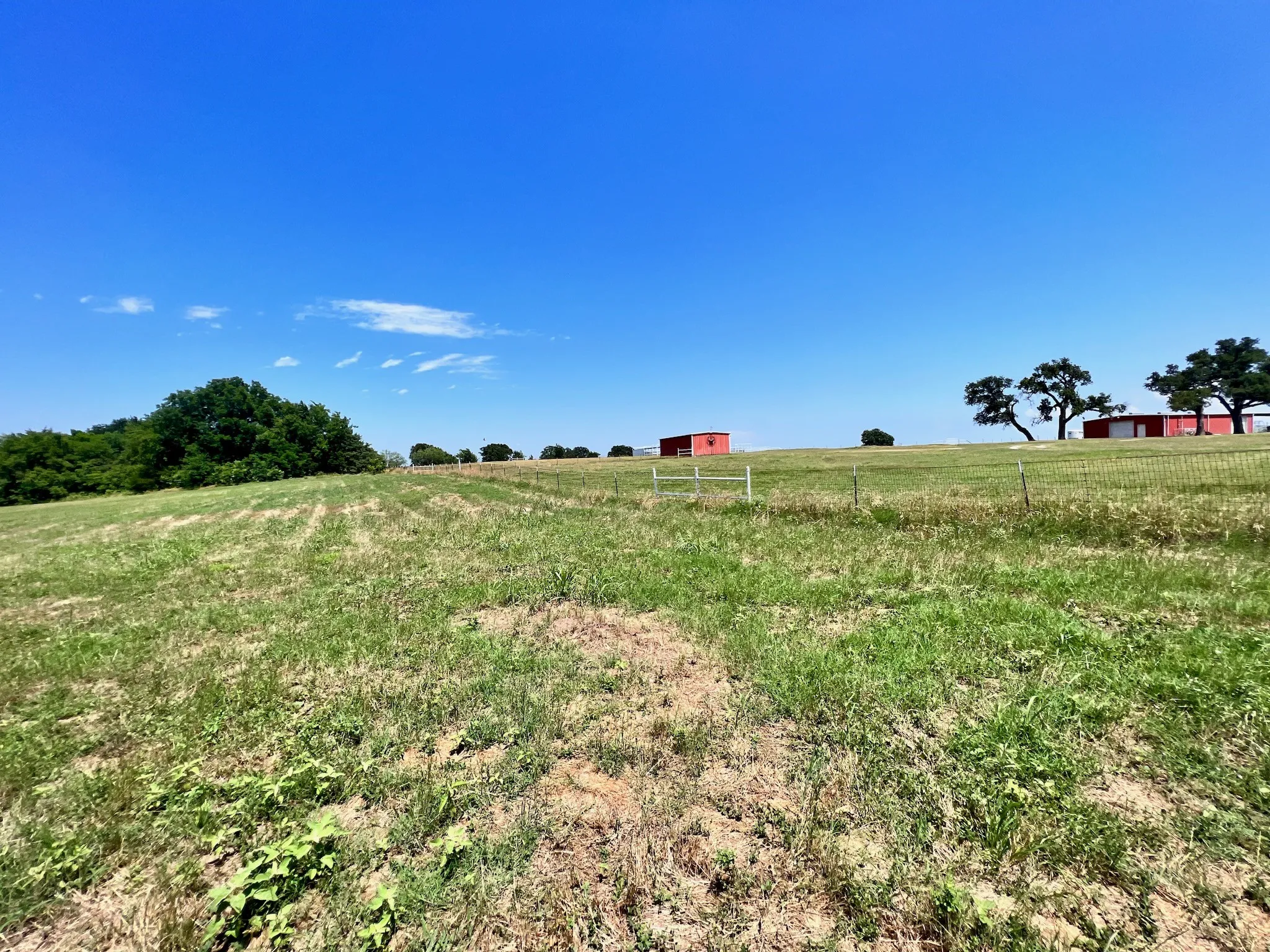 Unimproved Land For Sale in Navarro County , Lot 73 SE County Road 3150, Corsicana, Texas 75109, 0, 0, Garage spaces, 0 Sqft, built in 0, mls#21058571, Real Estate Agent in Corsicana, Homes For Sale in Navarro county, Homes For Sale in Corsicana, Realtor in Corsicana Texas, Real Estate Brokerage Independent Realty Texas, Luminita Cordes Realtor