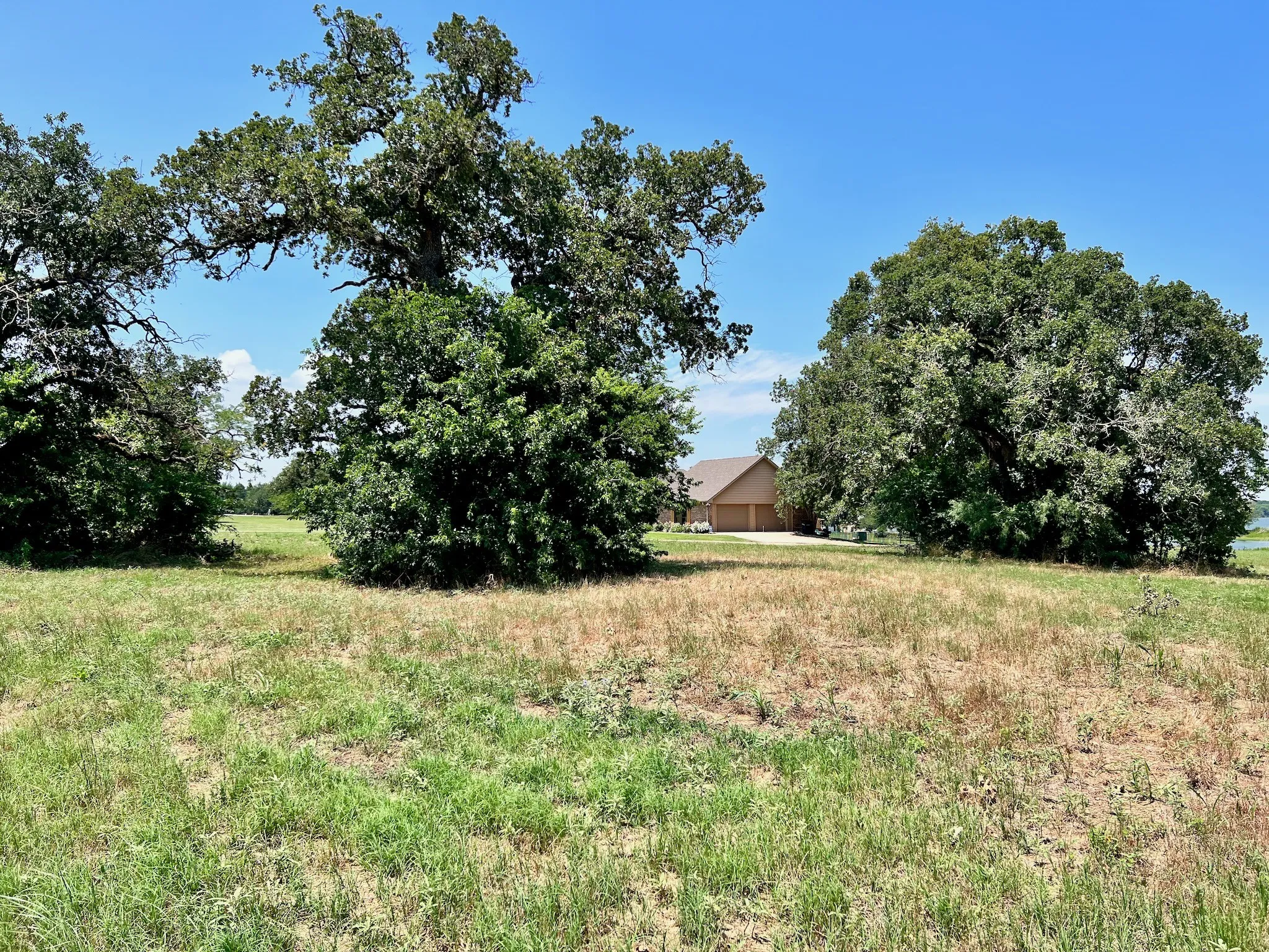 Unimproved Land For Sale in Navarro County , Lot 73 SE County Road 3150, Corsicana, Texas 75109, 0, 0, Garage spaces, 0 Sqft, built in 0, mls#21058571, Real Estate Agent in Corsicana, Homes For Sale in Navarro county, Homes For Sale in Corsicana, Realtor in Corsicana Texas, Real Estate Brokerage Independent Realty Texas, Luminita Cordes Realtor
